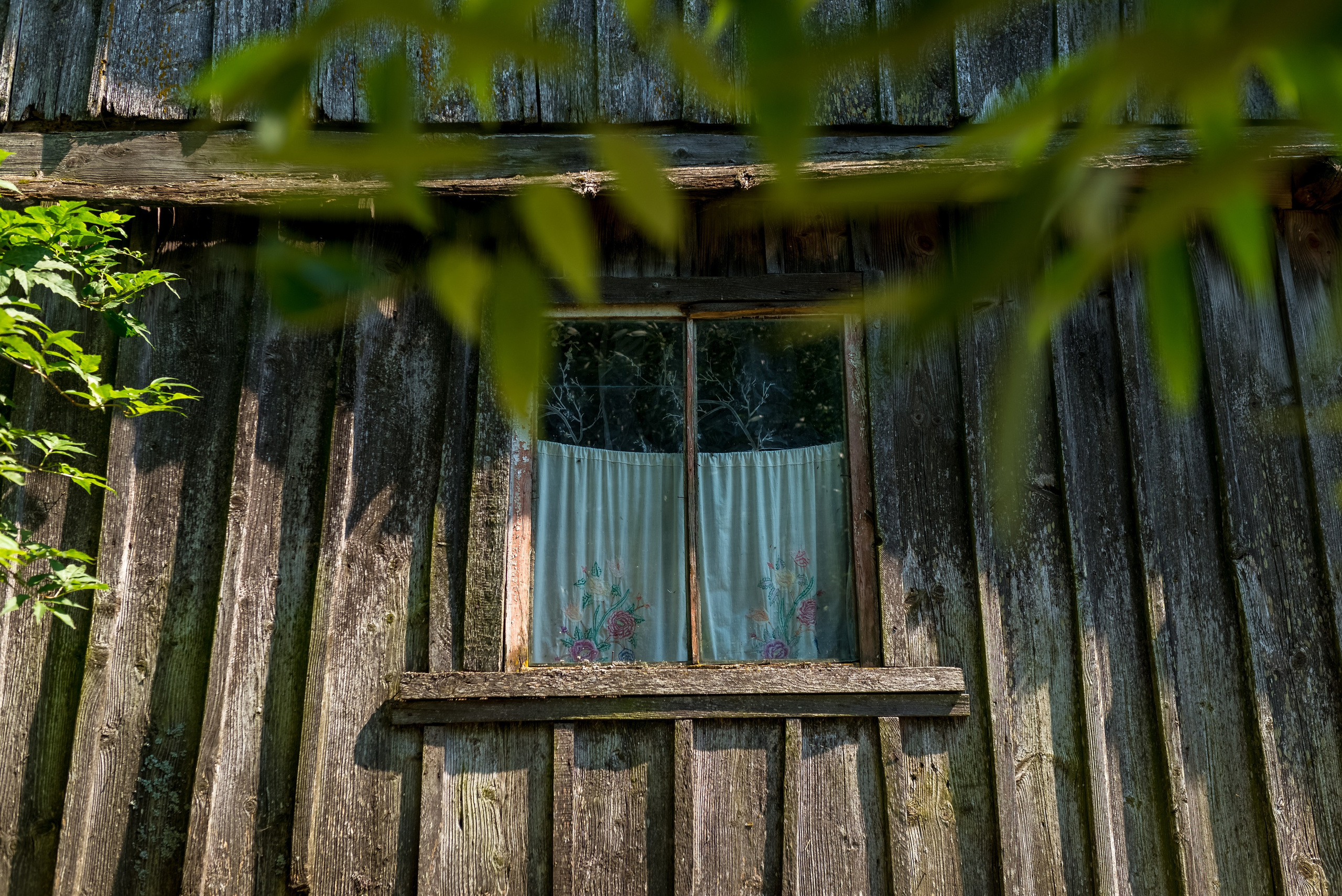 Деревня Барышье. Женский фотограф Крещение Венчание Москва Брянск