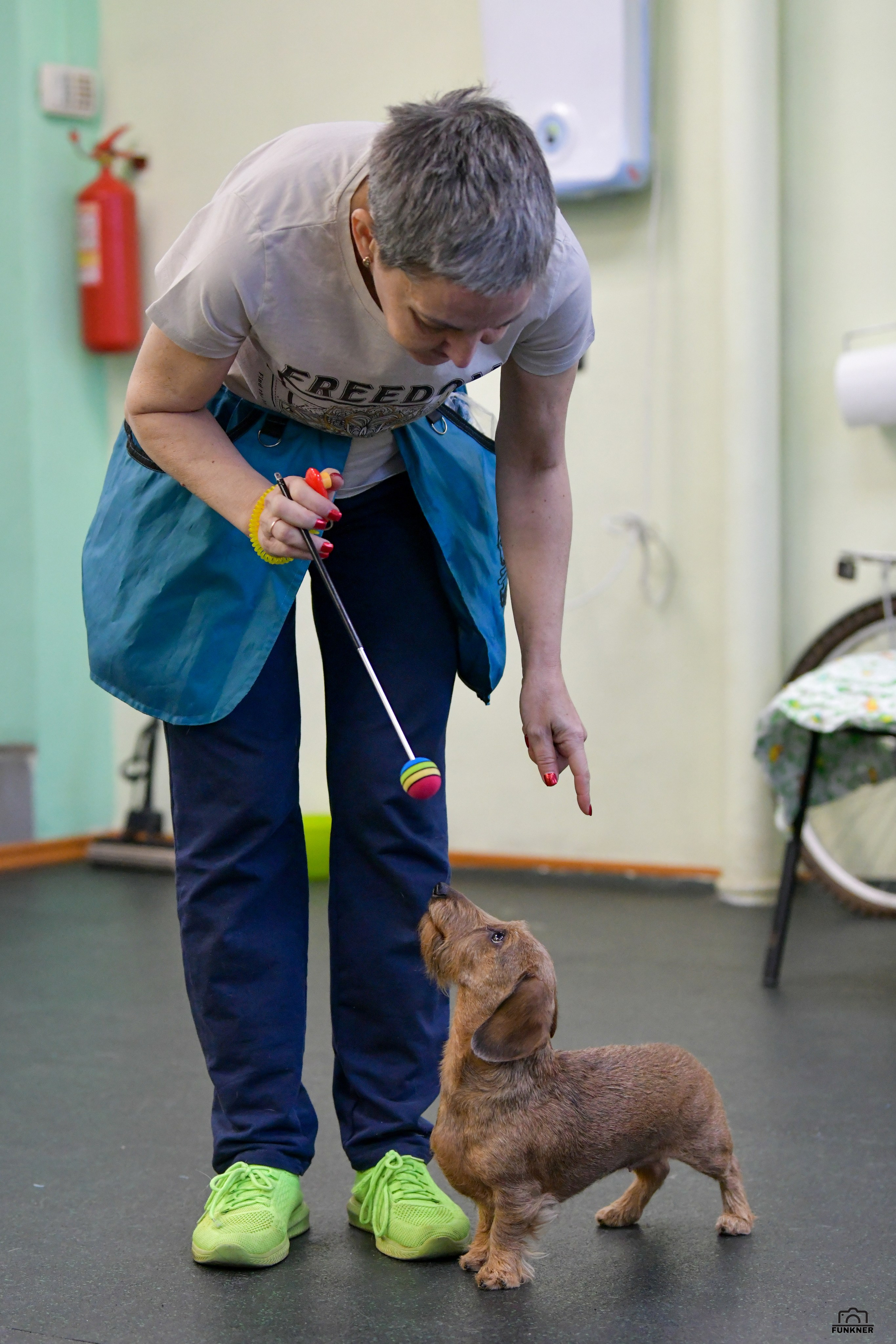 Кинологический клуб «Бодрый хвост». Свой взгляд через объектив