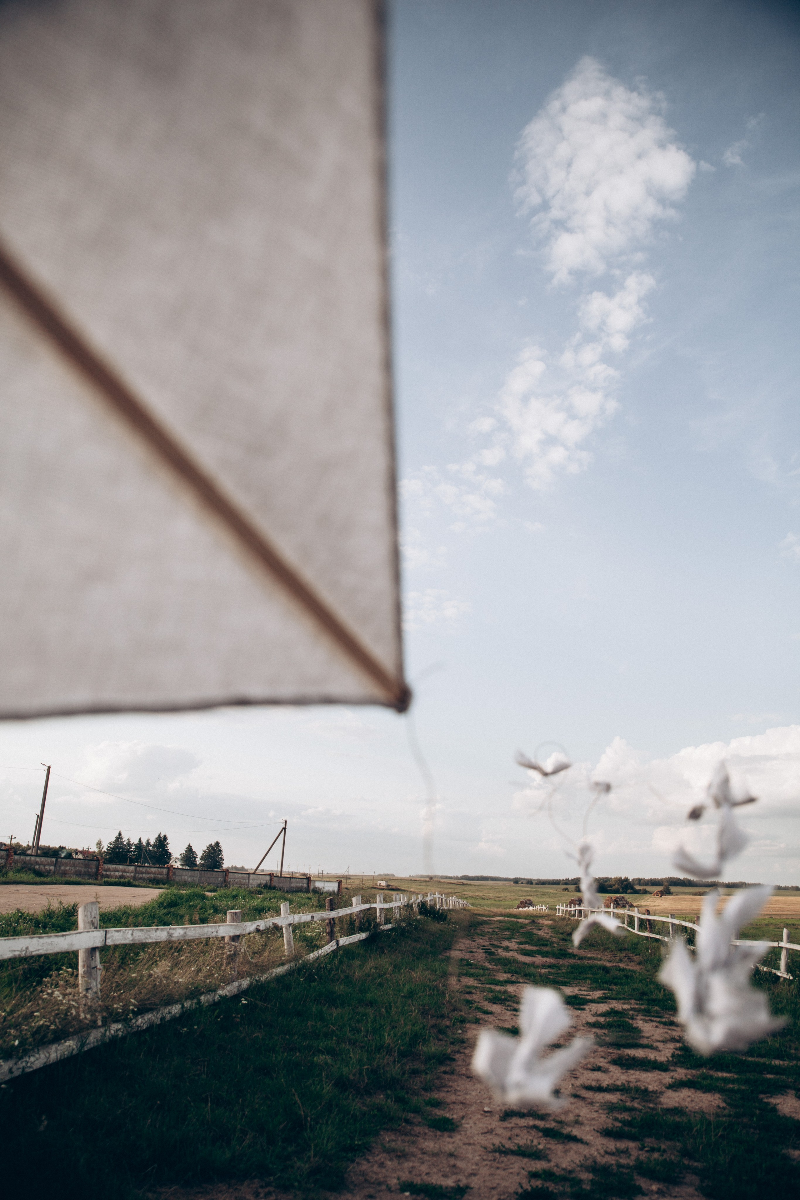Воздушный змей. Репортажный и детский фотограф в Минске