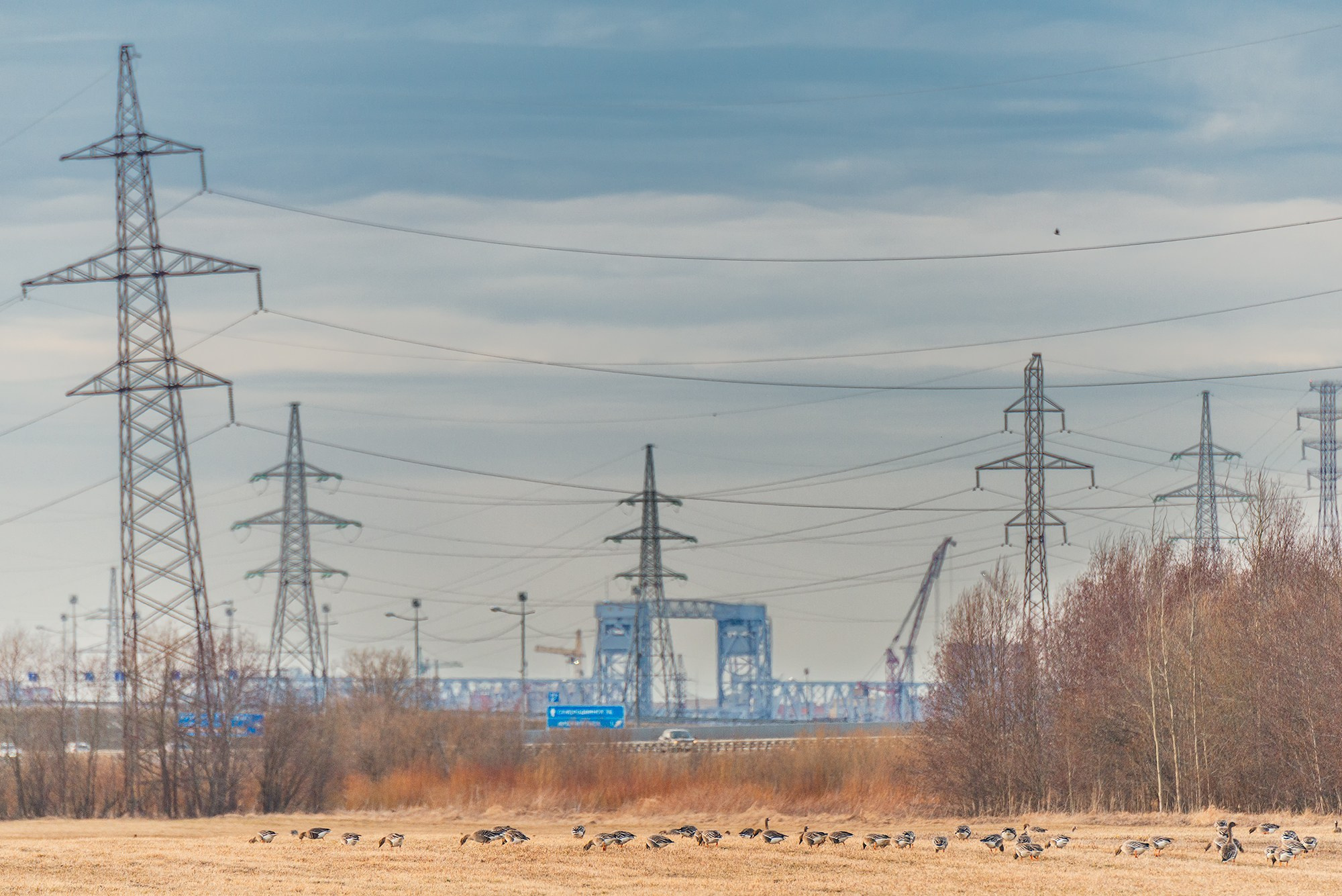Город. Аэросъемка в Архангельске, Александр Ермолин