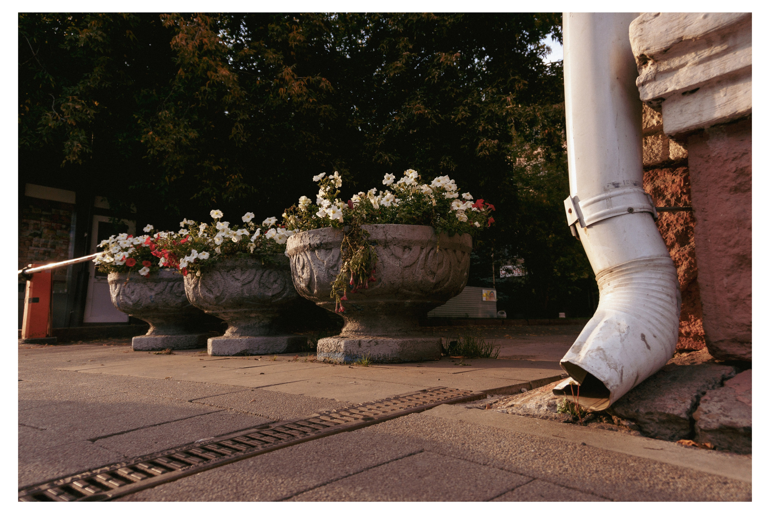 21.09.2025 | Красноярск. Kuznetsov | Фотограф в Красноярске