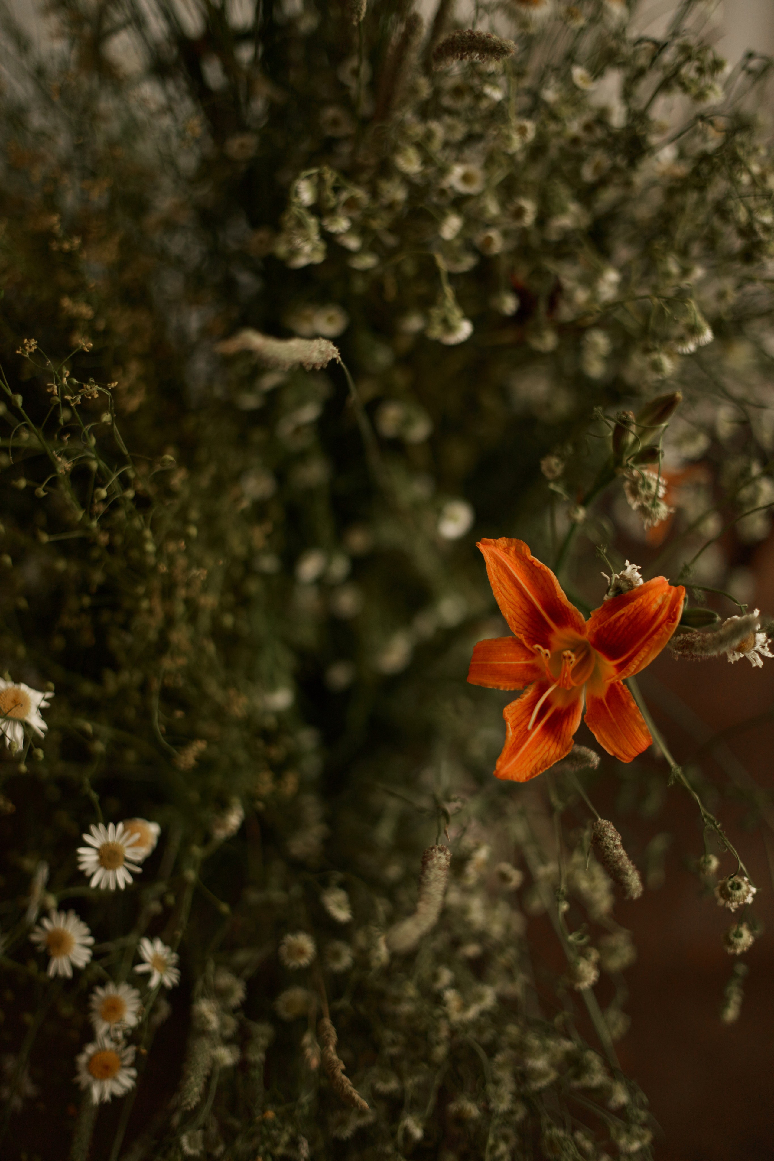 Дима и Аня. Фотограф Екатерина Строганова