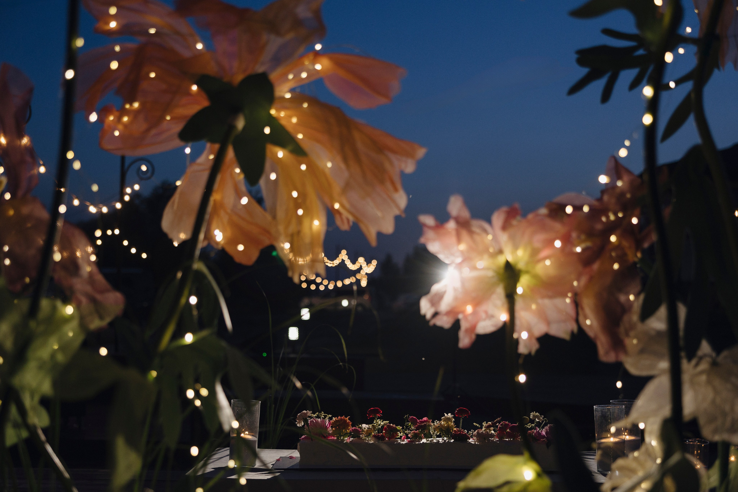 Никита и Полина. Свадебный фотограф Курск Максим Ноздрачев