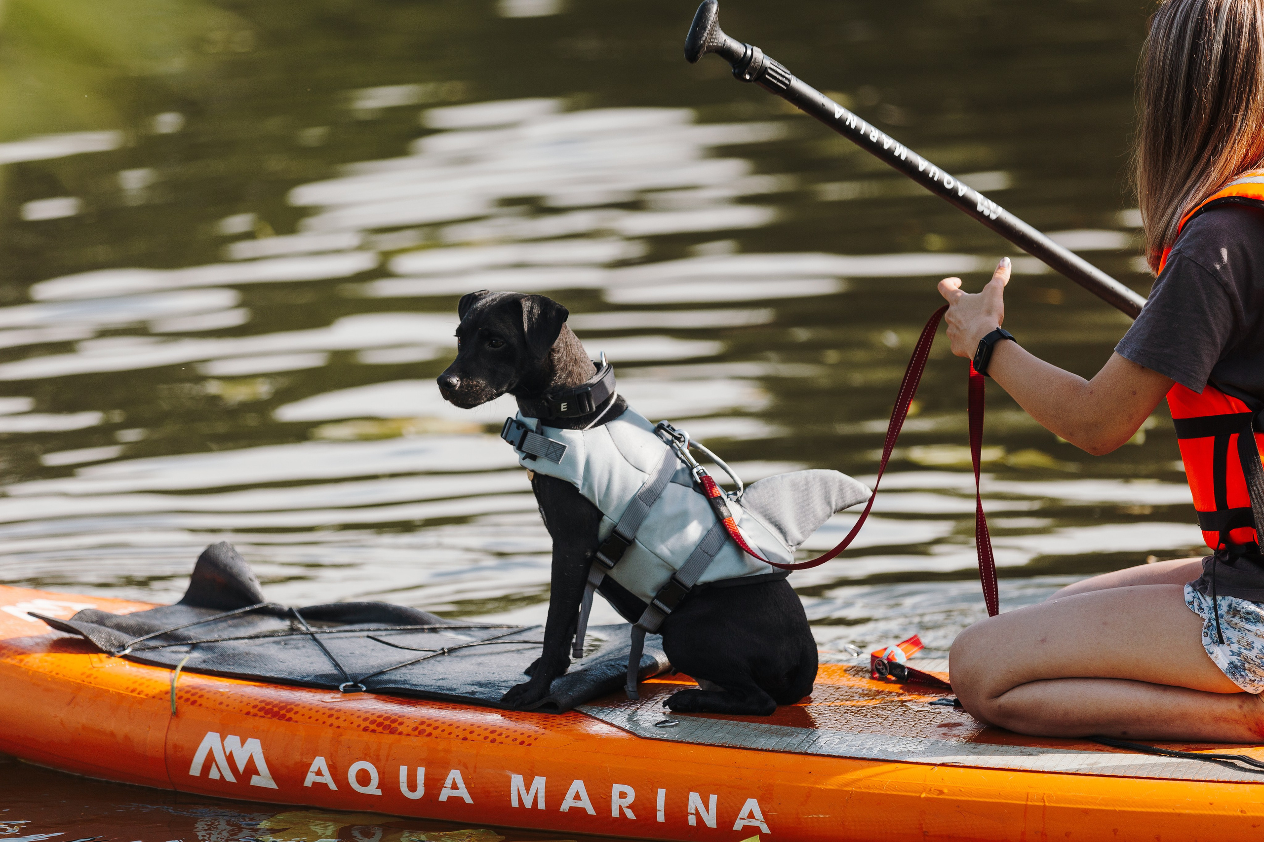 Petshop Sup day. Фотограф анималист Кристина Карпова, Москва