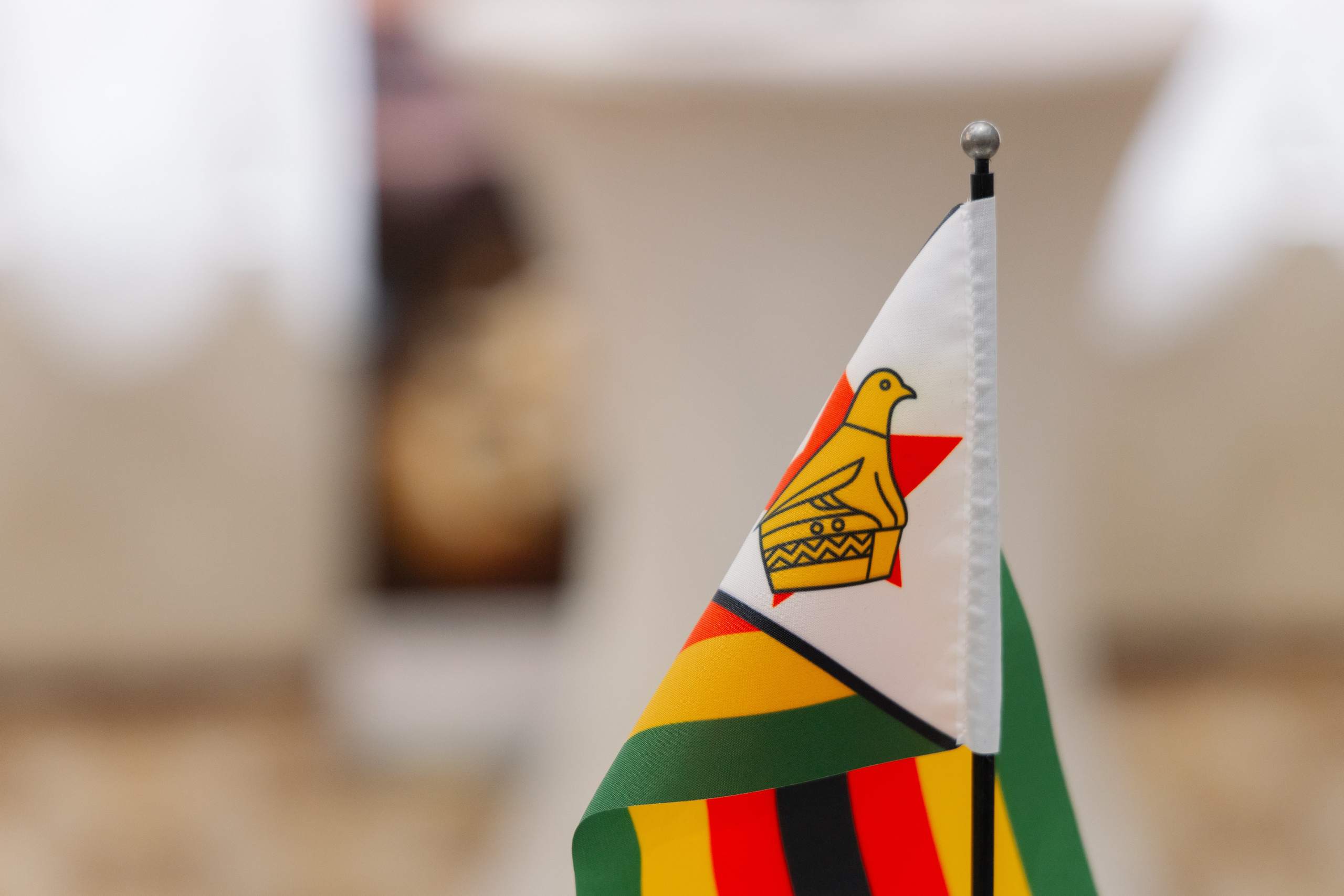 Фотосъемка делегации Посольства Зимбабве в Минске. Свадебный фотограф в Минске/Беларуси Сергей Спиридонов