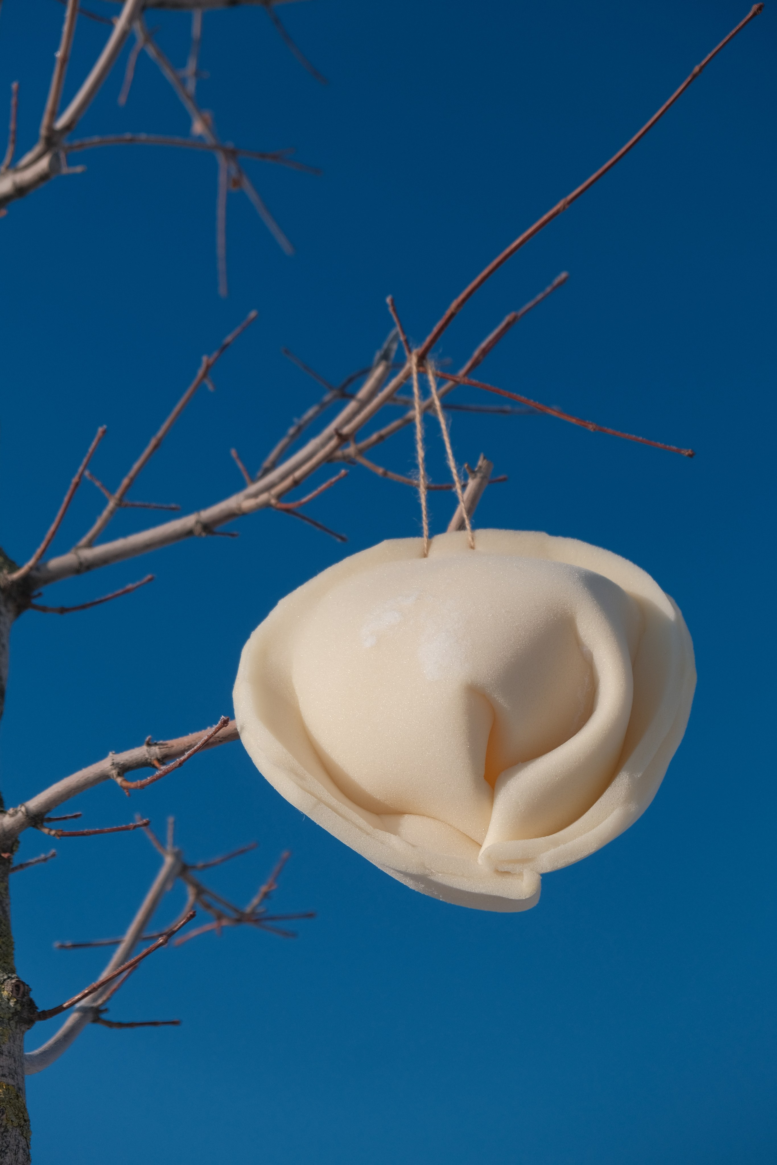 Фестиваль Пельменьфест. Максим Егоров, г. Ижевск. Репортажная, предметная съёмка и фуд-фотография