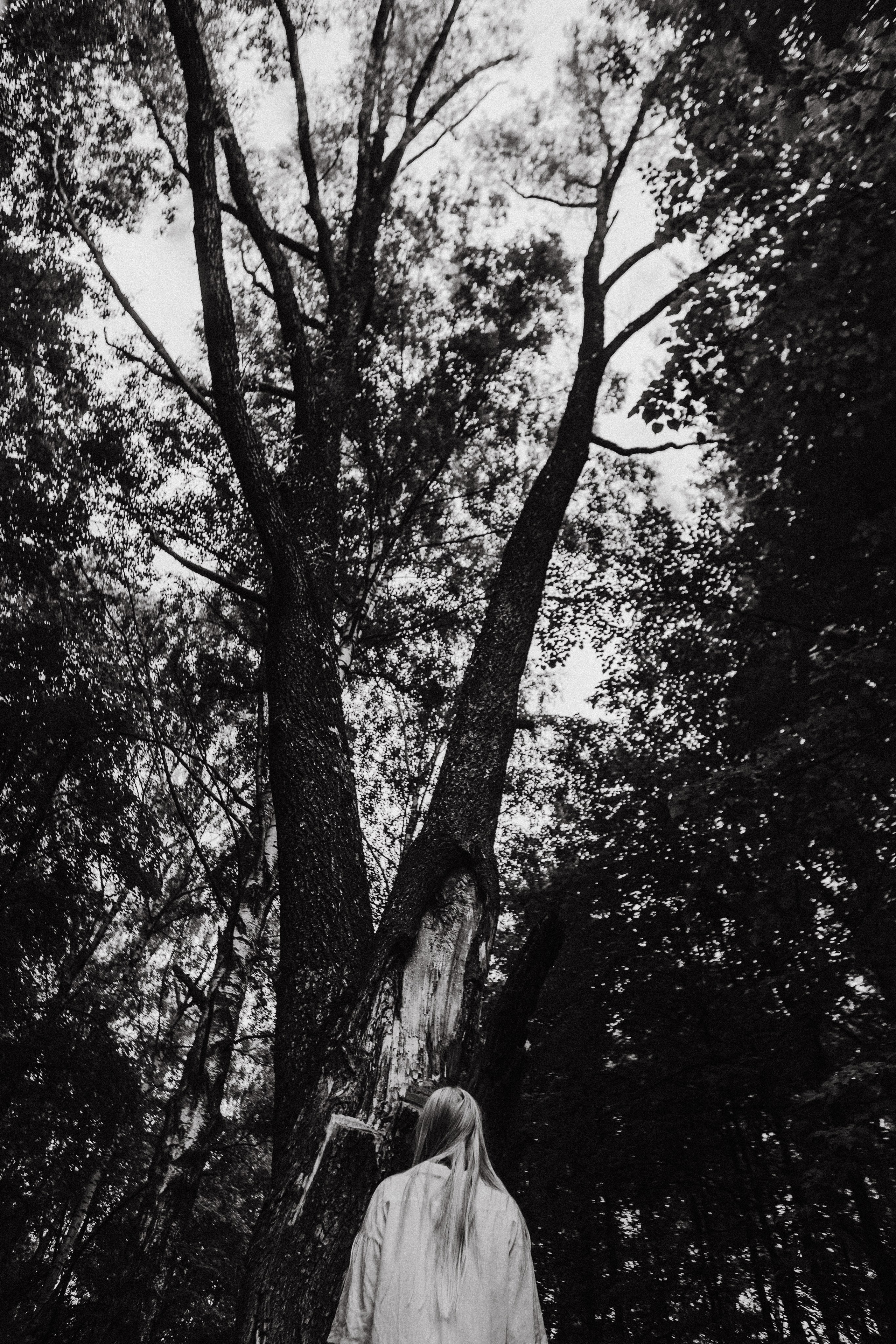 Ирина. Папоротник. Фотограф в Нижнем Новгороде