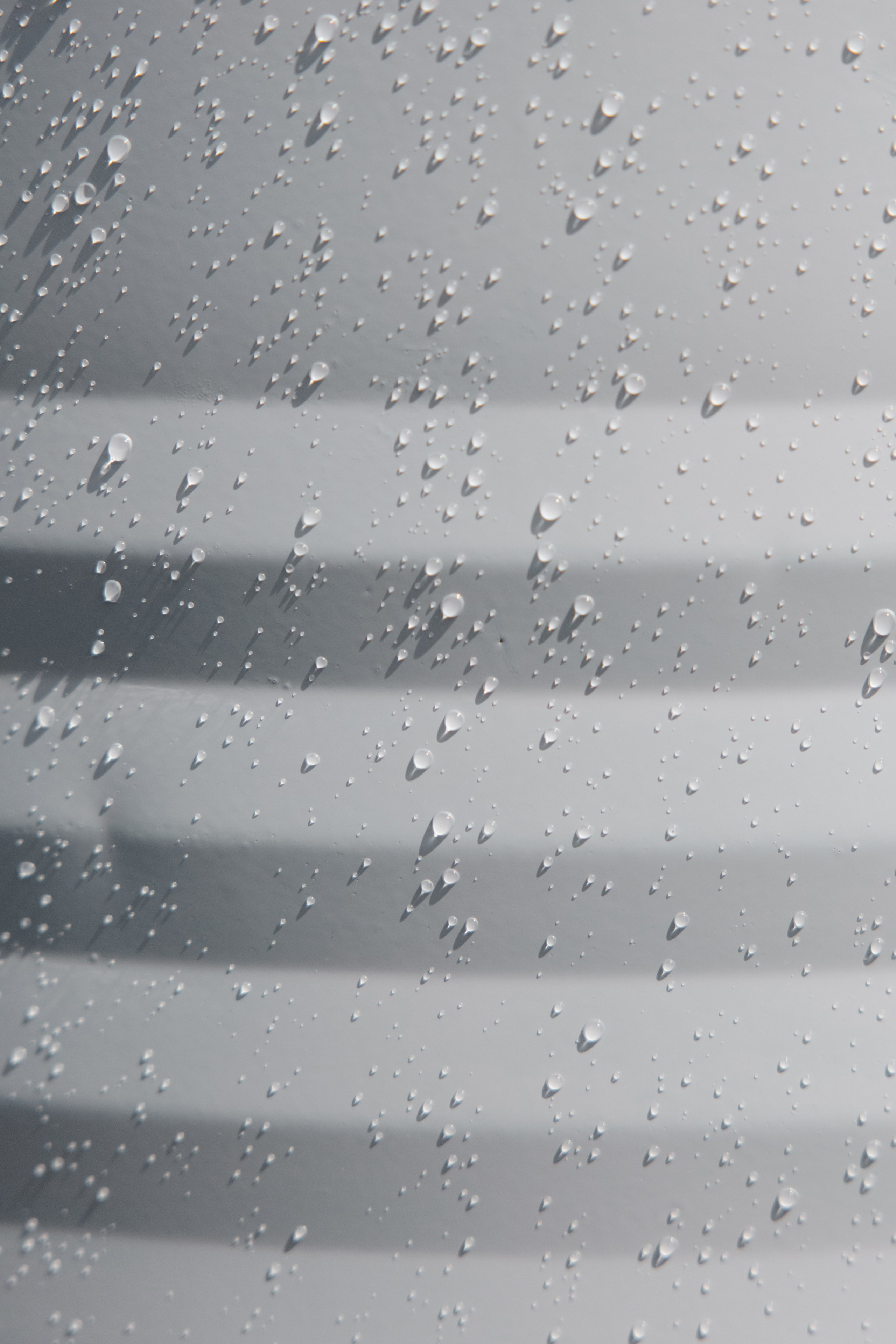 ГЕНДЕР ПАТИ. Фотограф в Красноярске