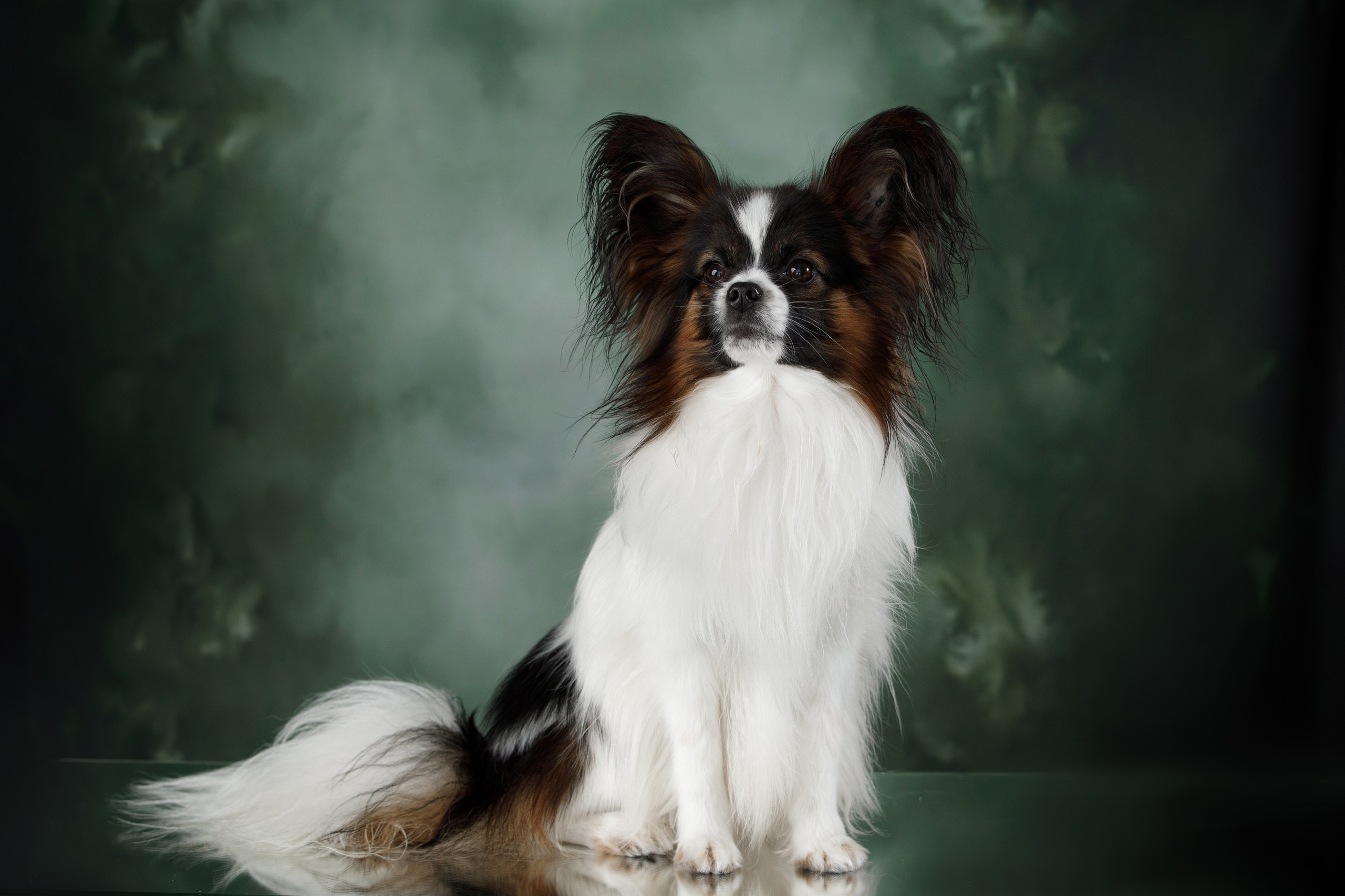 Март. Весна. 22. О нас