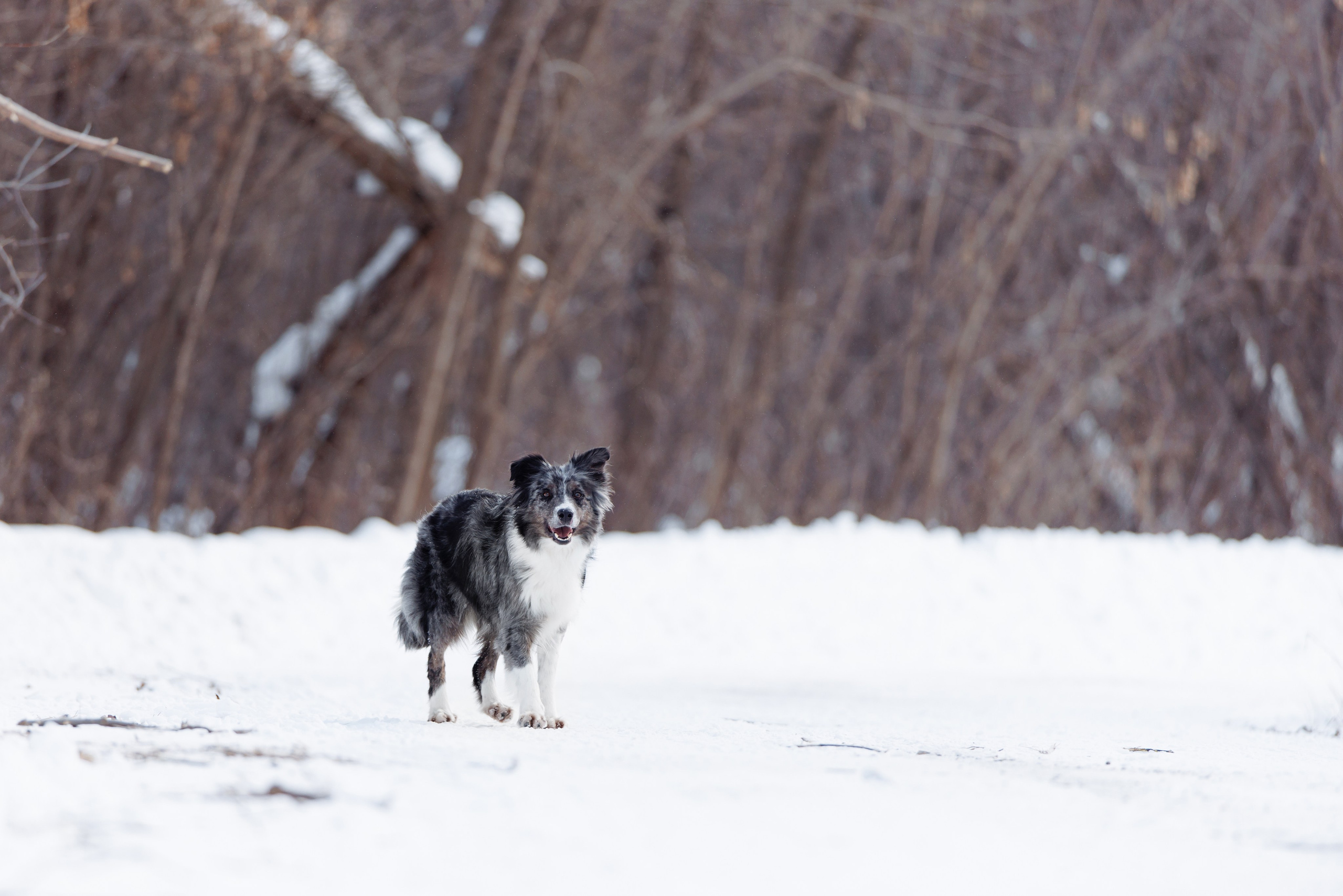 Яркий январь. О нас