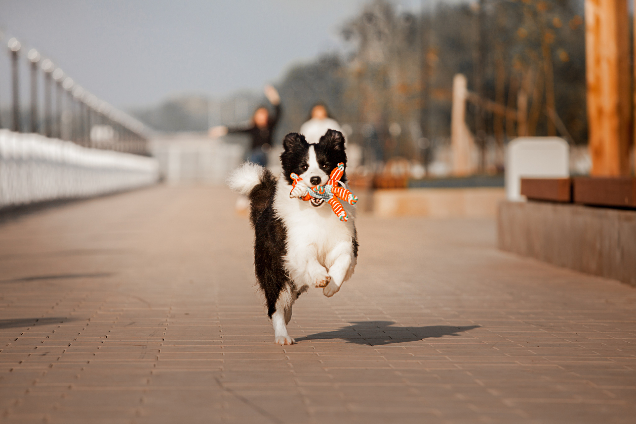 Сочный рассвет, на который решились. О нас