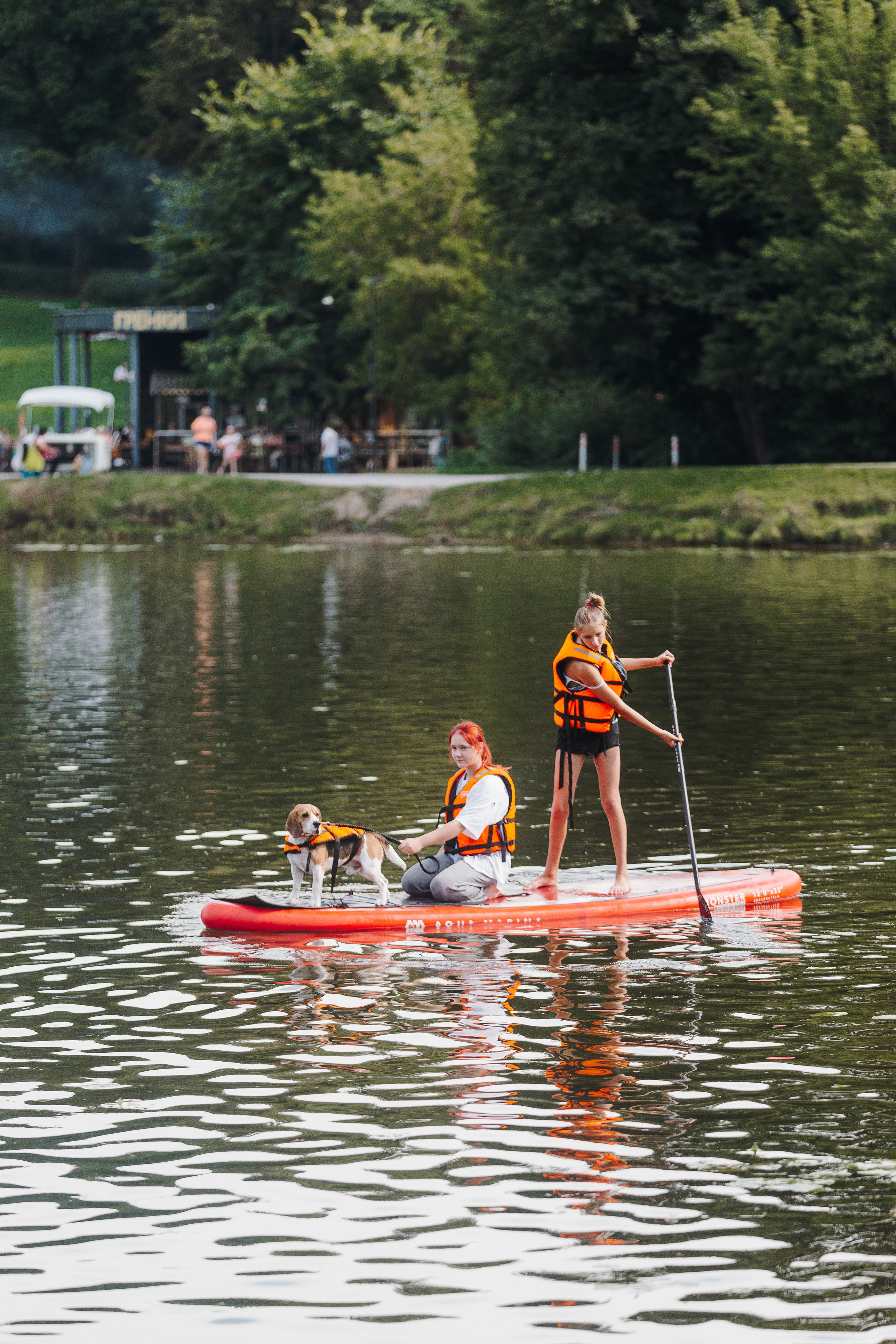 Petshop Sup day. Фотограф анималист Кристина Карпова, Москва