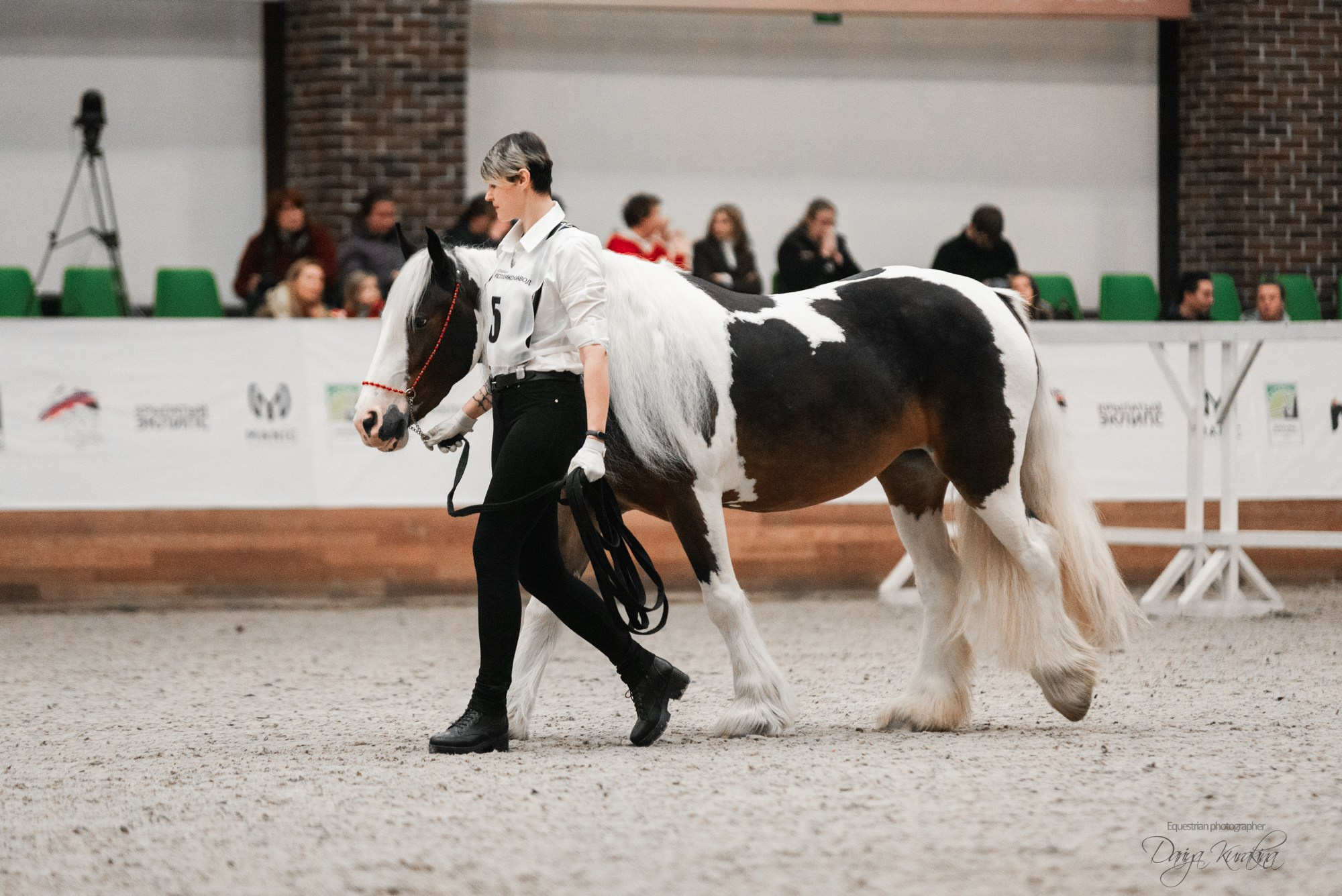 8-я международная выставка Конная Россия. Конный фотограф Куракина Дарья • Фотосессии с лошадьми