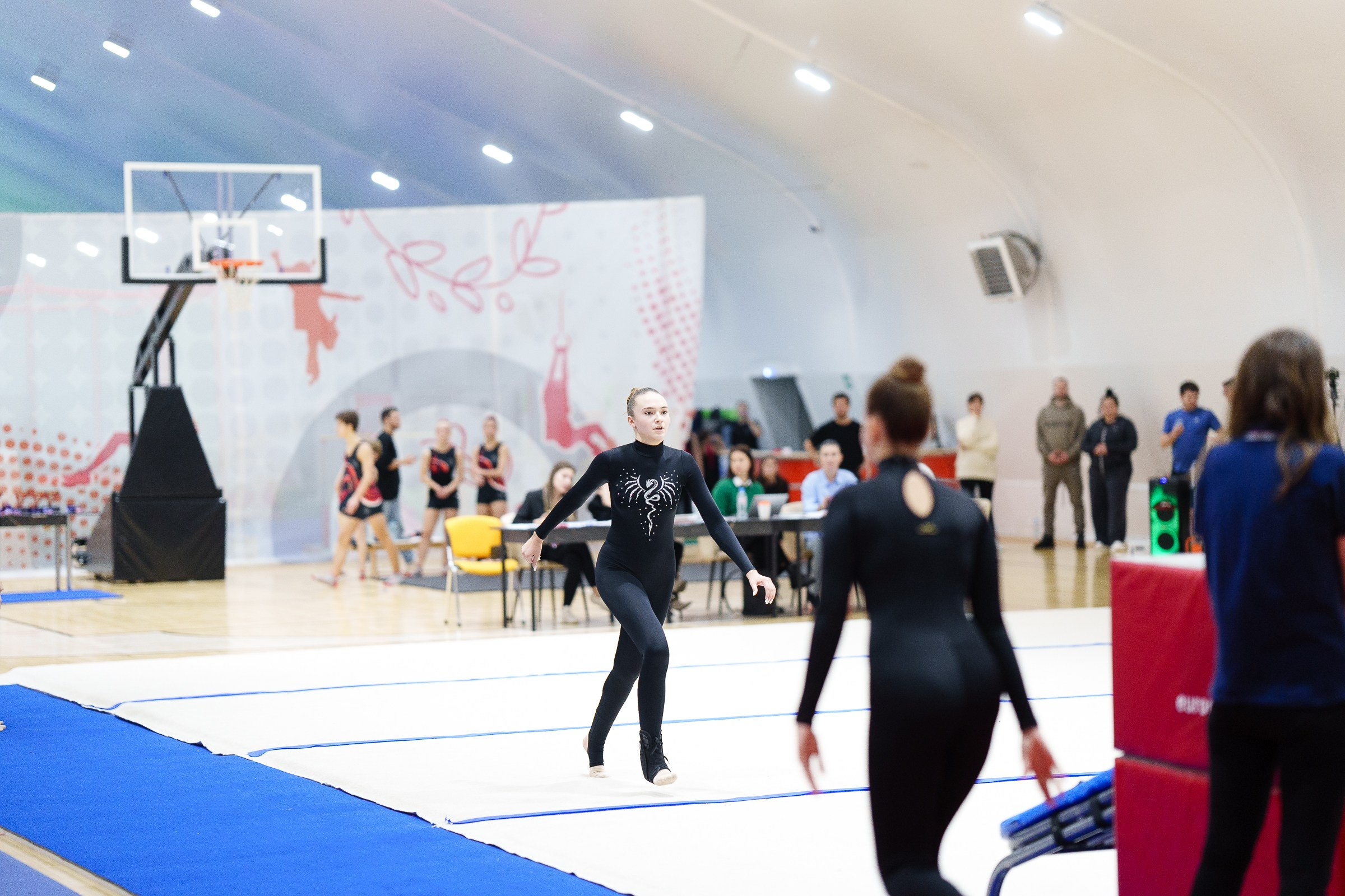 Гимнастика. Фотограф Москва