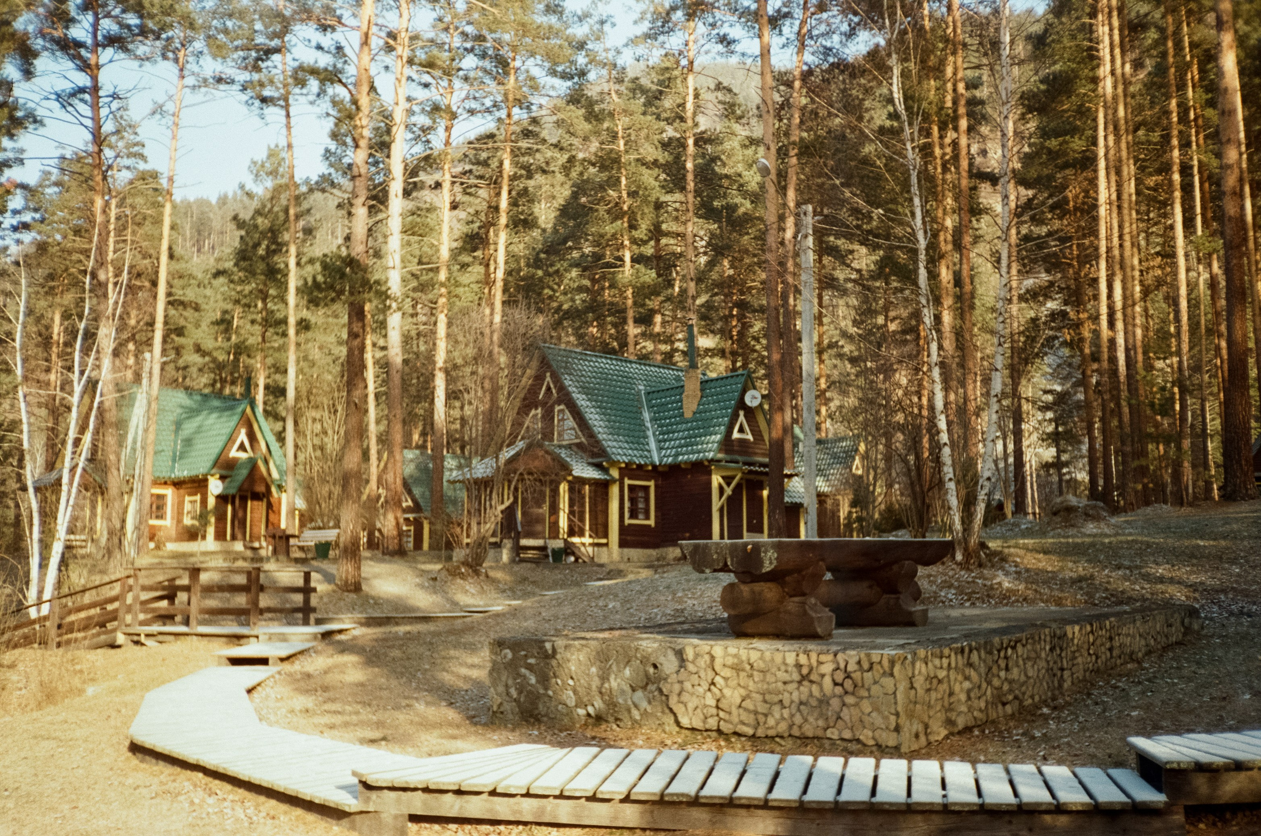 Дорога до Coffee Bus по Чемальскому тракту и Кедровый остров. Фотограф-документалист Мария Осокина