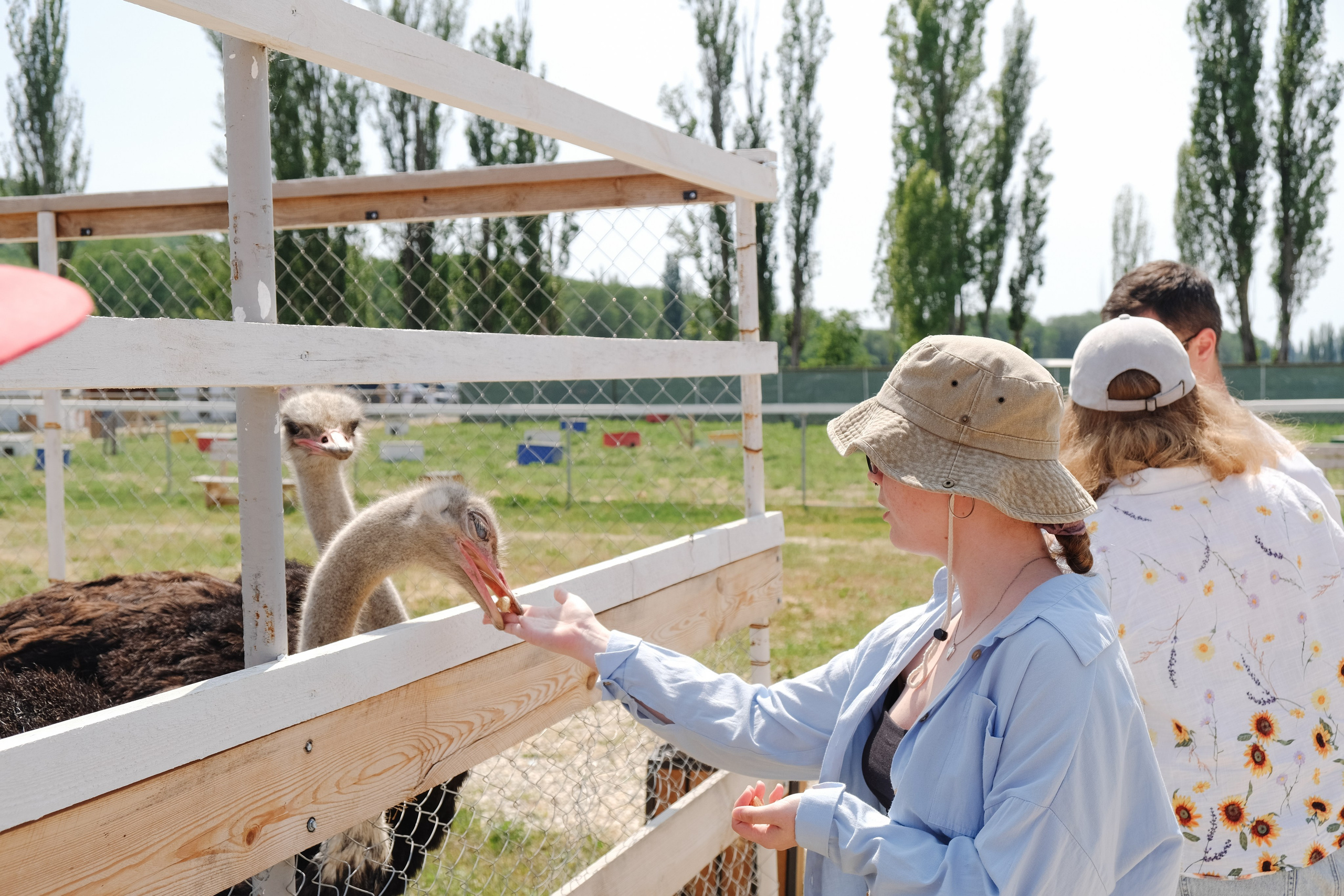 Репортаж на ферме. Профессиональная фотосъемка в Крыму. Натуральные эмоции и живые кадры. Забронируйте дату прямо сейчас!