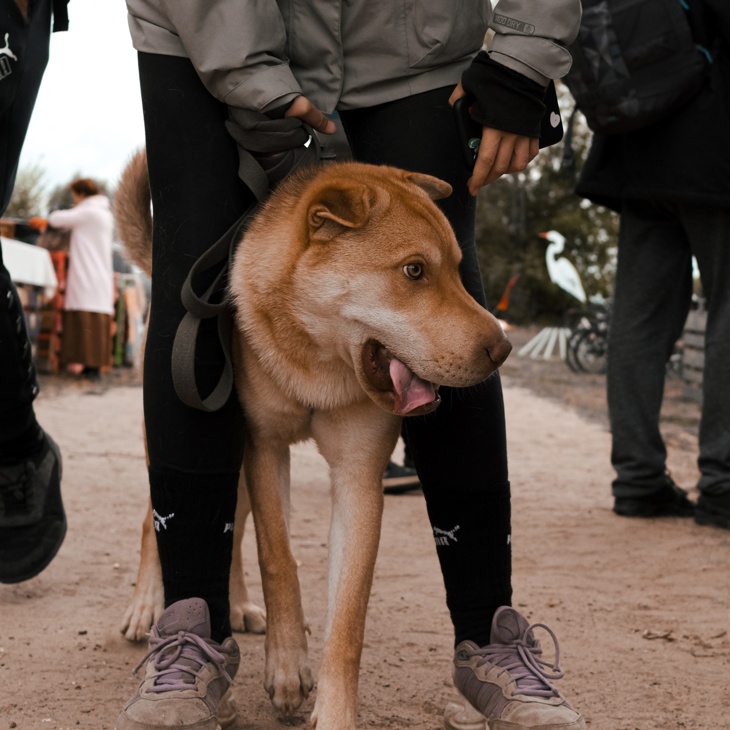 Эко-фестиваль АртЛуга 2022. LIYALEE PHOTO