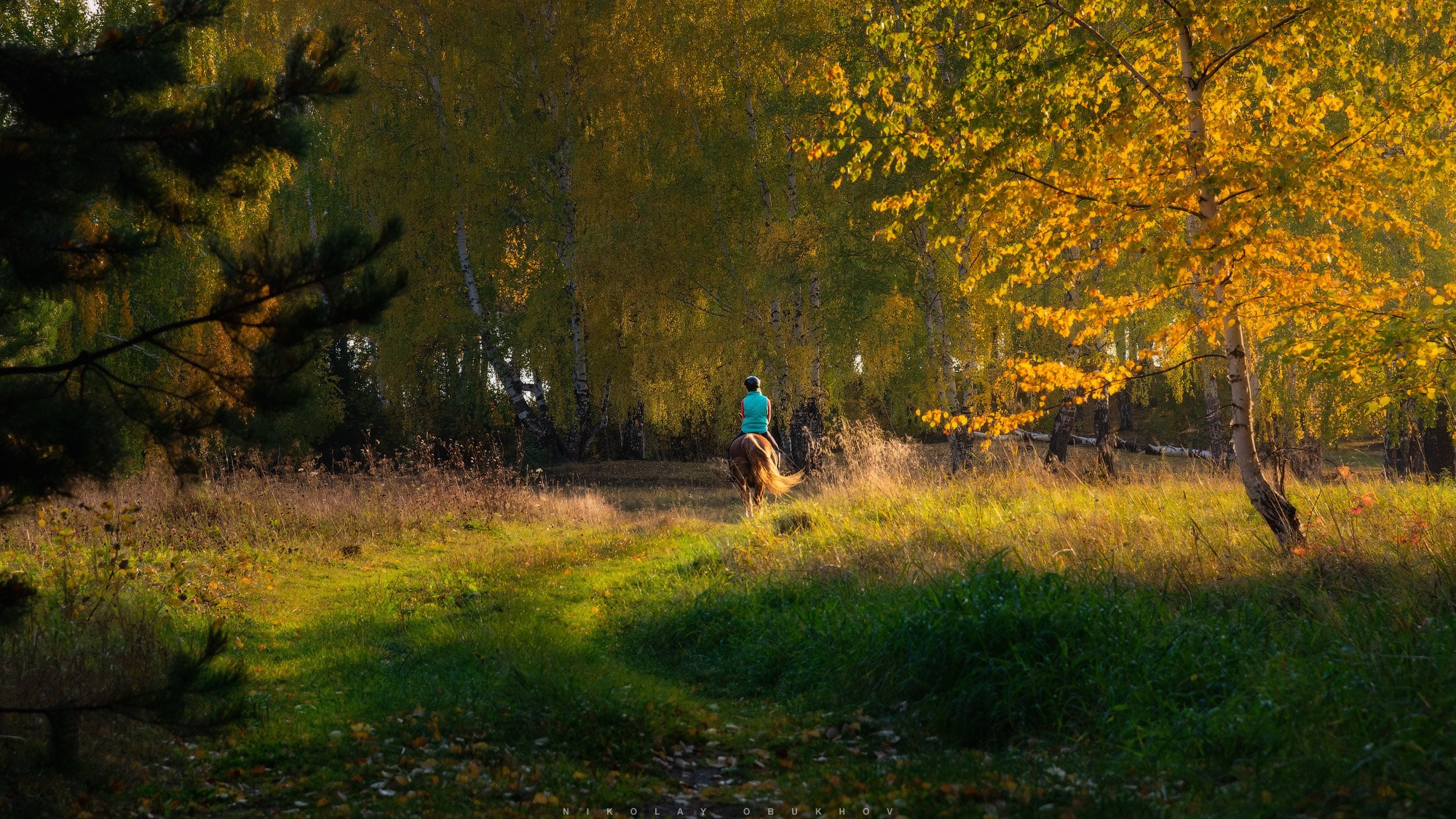 Фотосессия с лошадью в Черноисточинске.