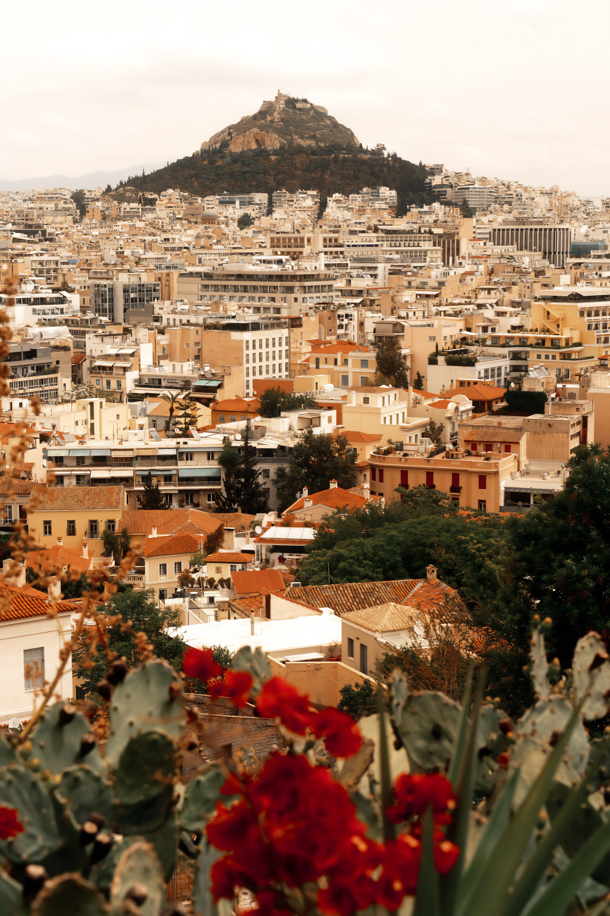 Турция, Греция, Иордания. Фотограф в Хабаровске. Фотография за 24 часа