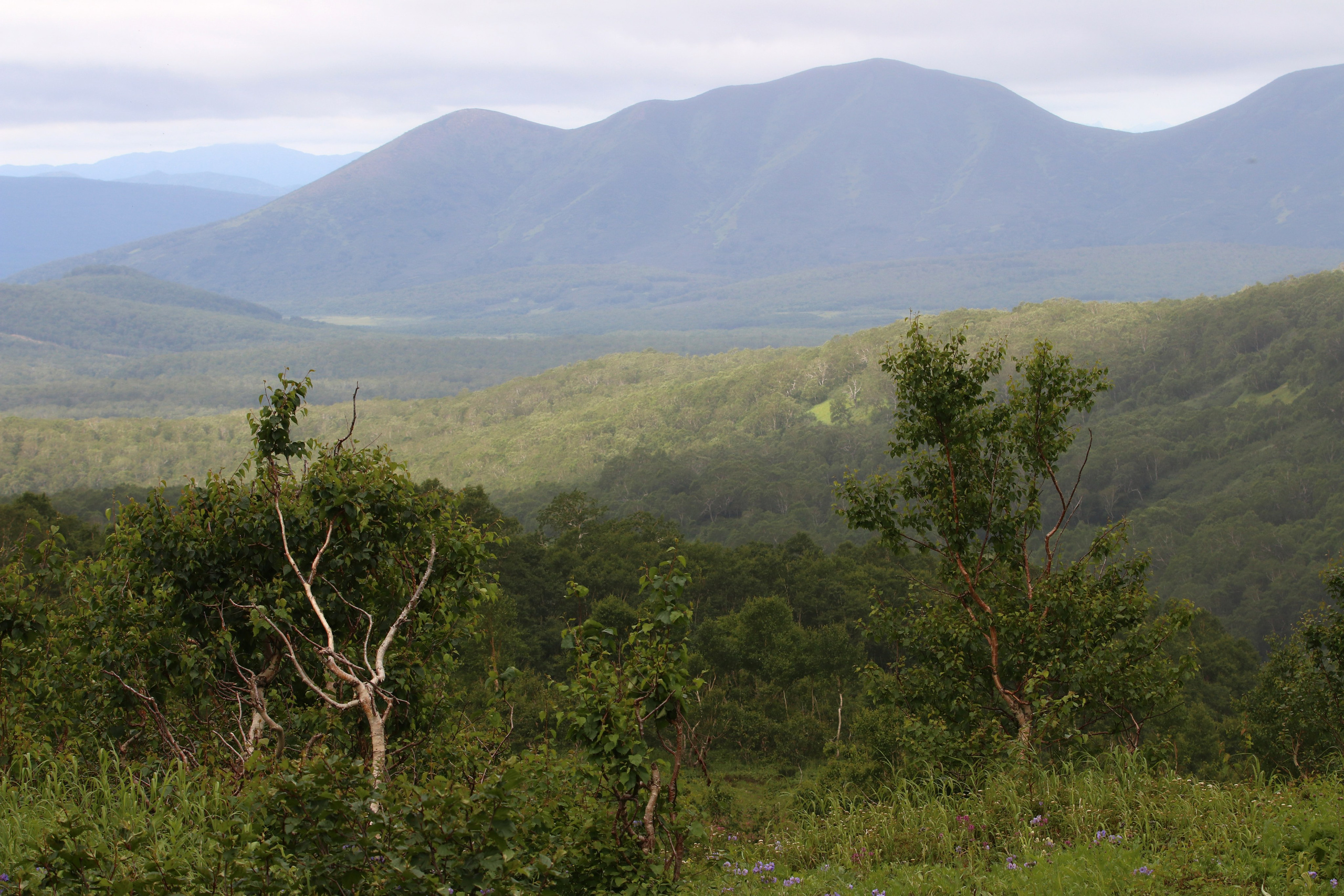 Камчатка и о. Парамушир. Июль 2024. Путешественник-фотограф из Санкт-Петербурга Татьяна Свистулина