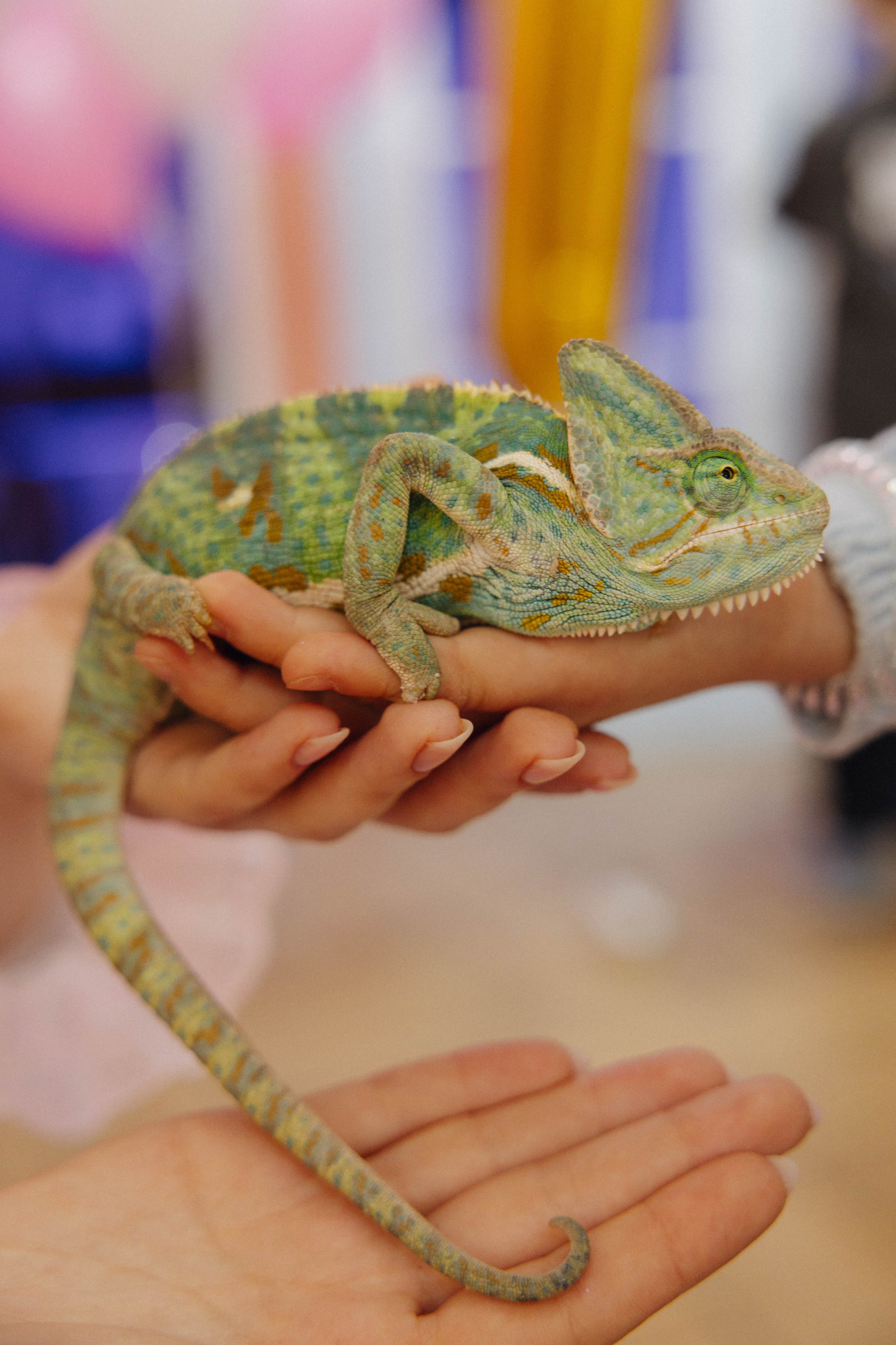 Детский ДР. Саше 7 лет. Фотограф Юсова Мария