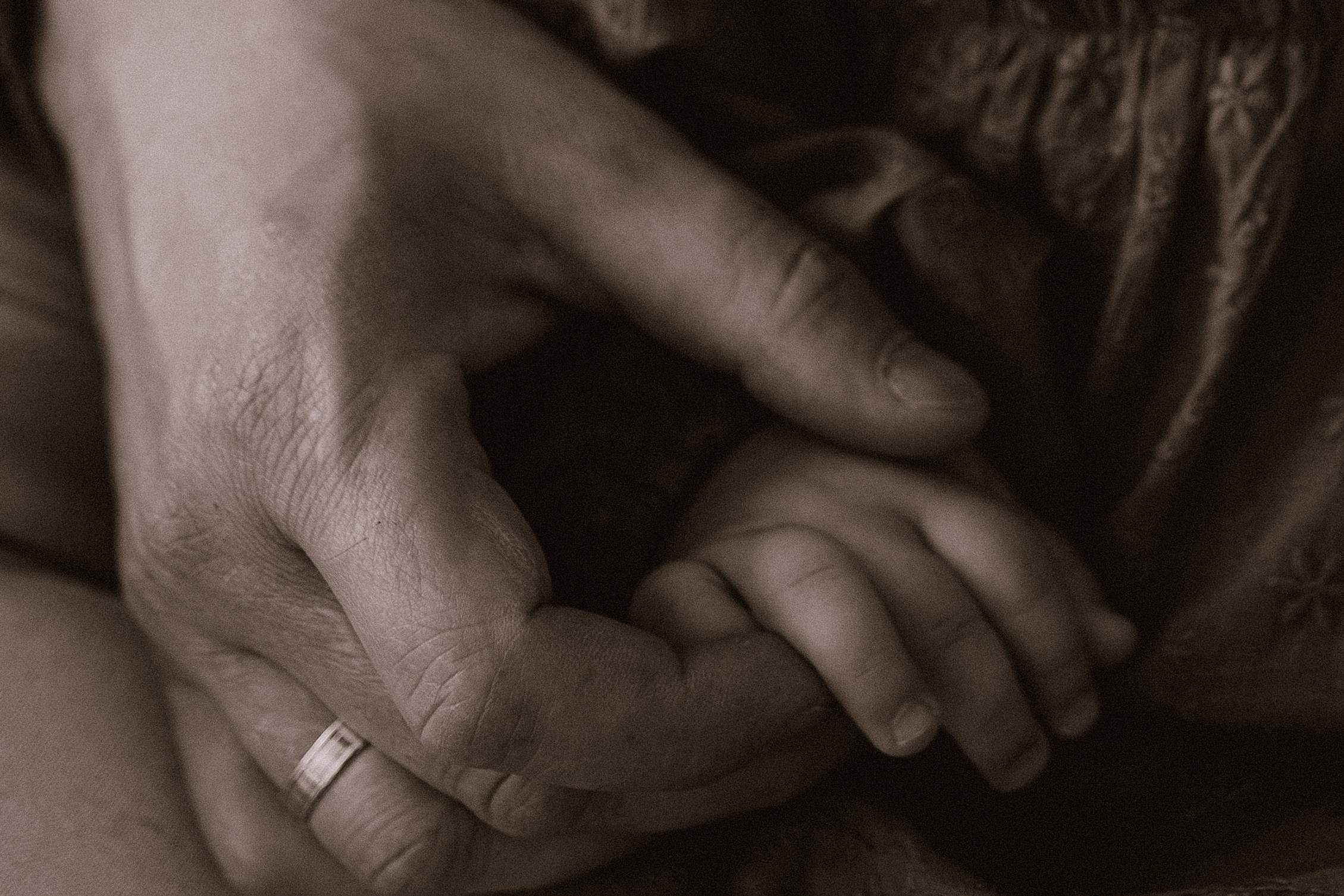 Арише год🤎. Семейный фотограф в Новороссийске и Анапе Александра Яковлева