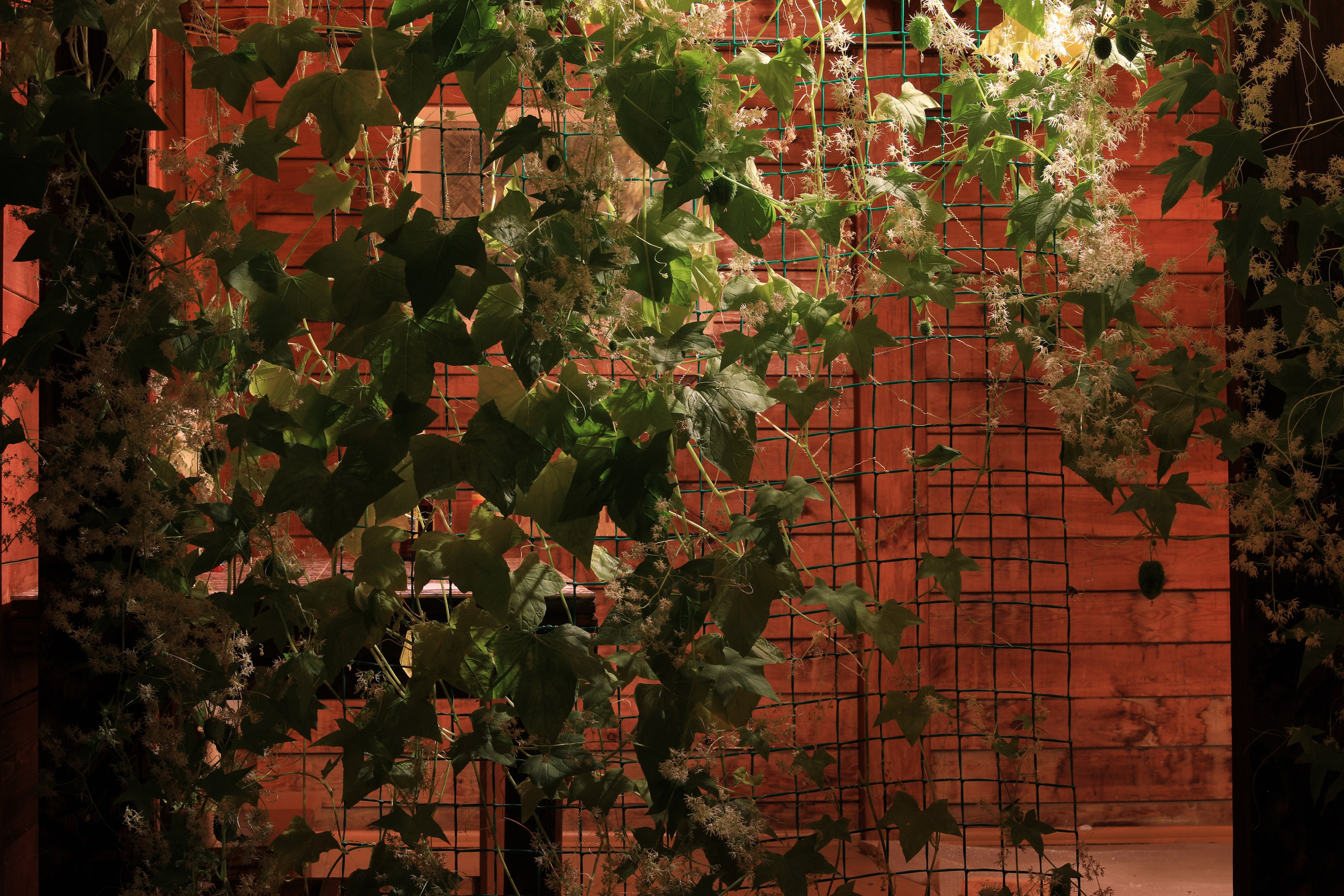 2020. Тащилин Сергей. Фотографии. Жизнь. Хобби