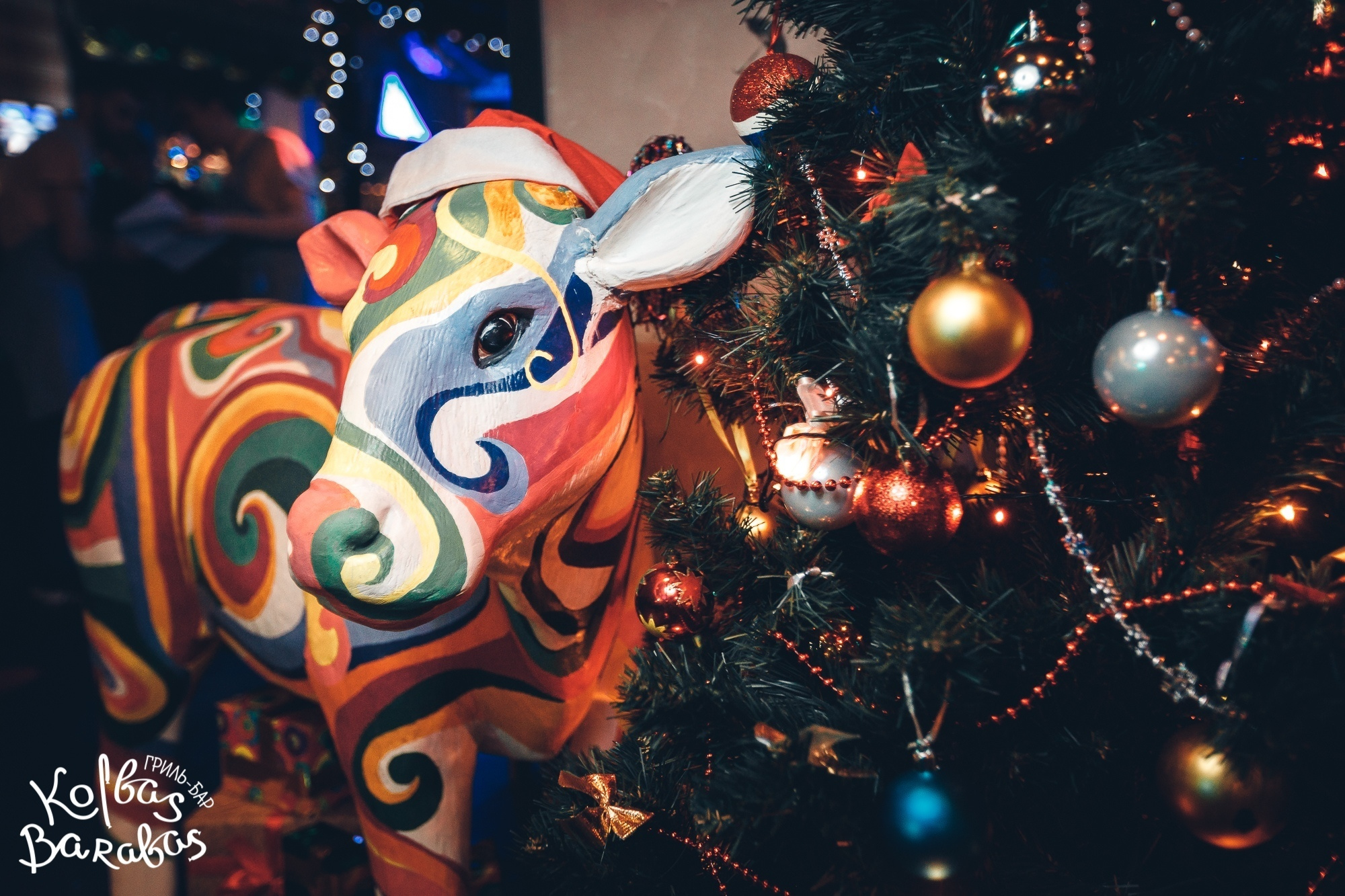 Новый год 2019. Событийная фотография. Бизнес портрет Аэросъемка Интерьерная съемка Тюмень