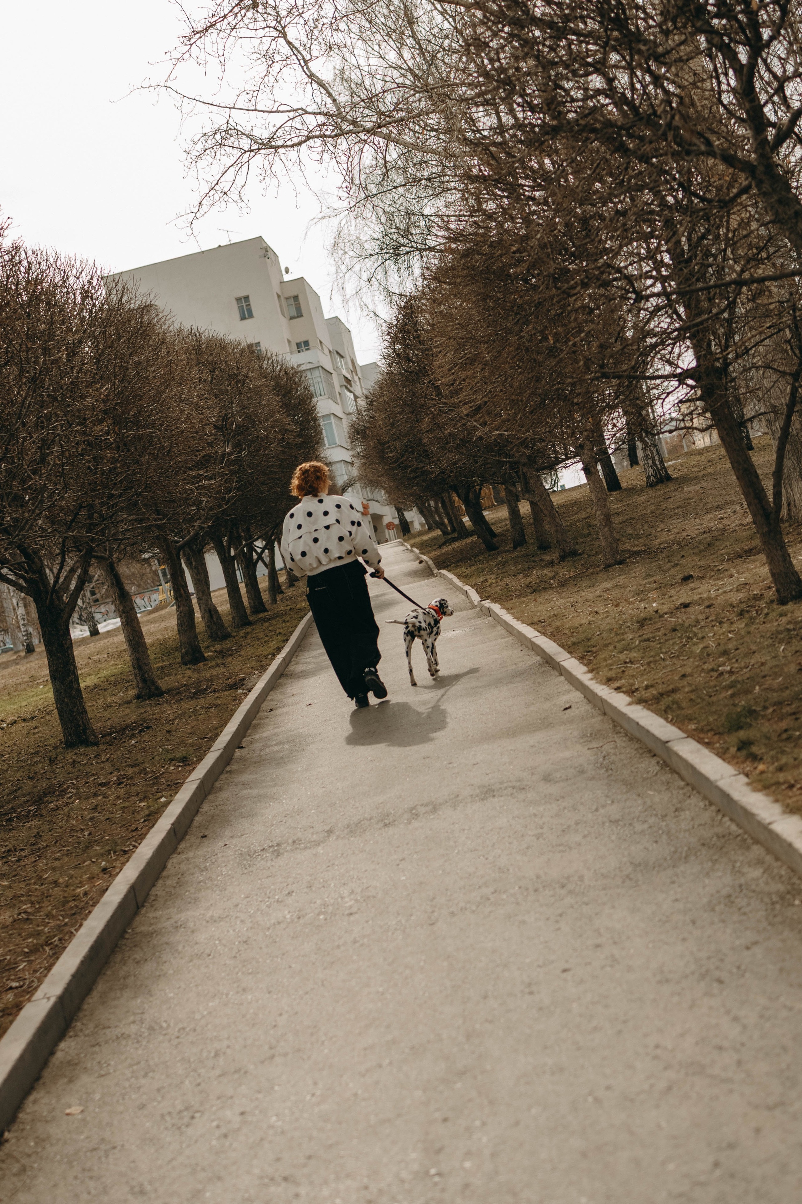 Диана и Лекса. Фотограф-анималист в Екатеринбурге | Кристина