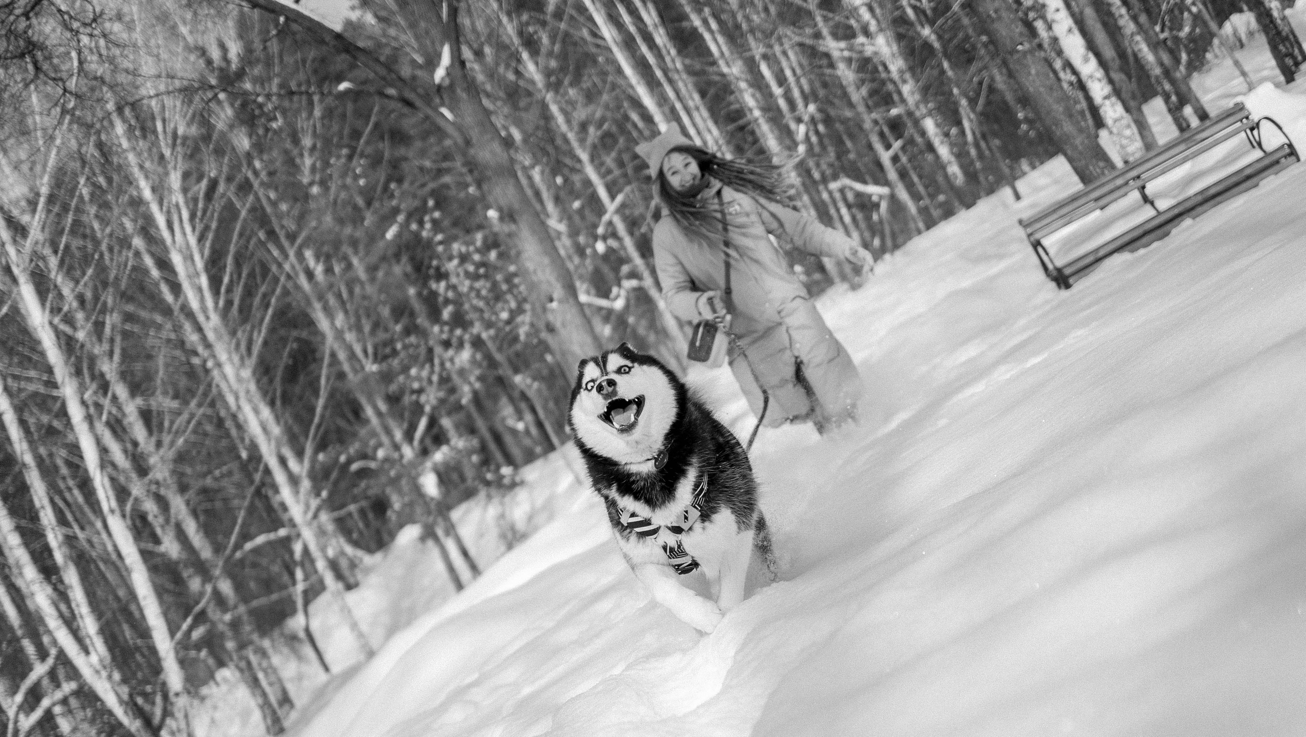 Анна и Вегас. Фотограф-анималист в Екатеринбурге | Кристина