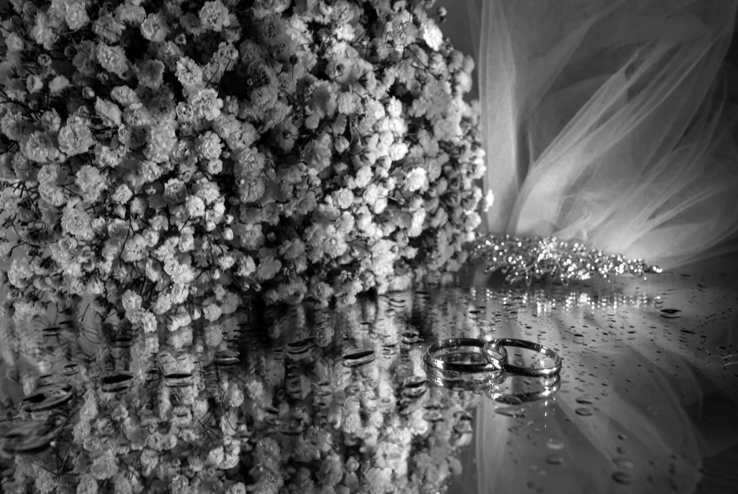 Владимир & Диана 17.06.2023. Мария Беккер - фотограф: свадебный, семейный, детский