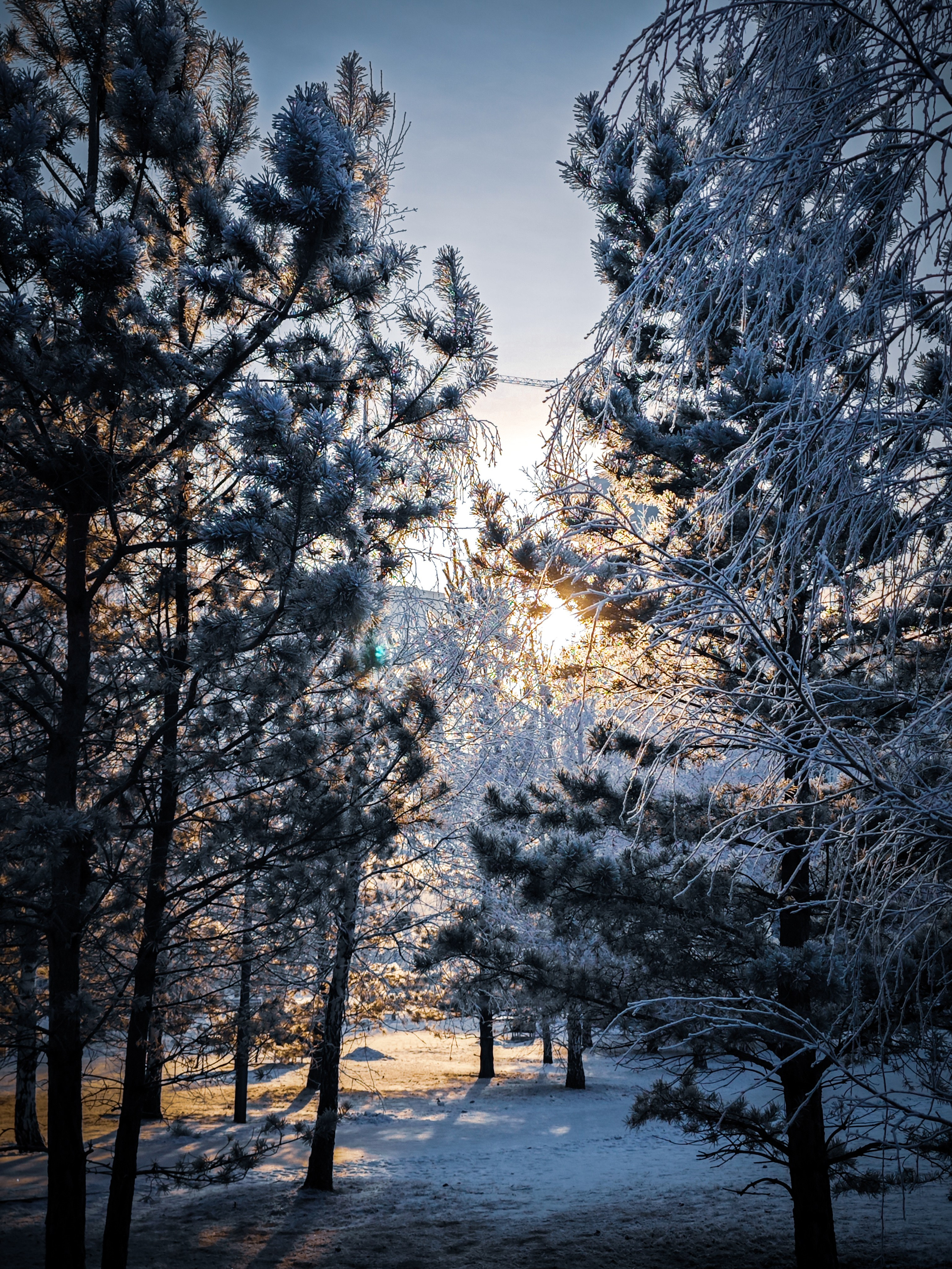 Скоро лето. Игорь Урывский. Фотограф Красноярск