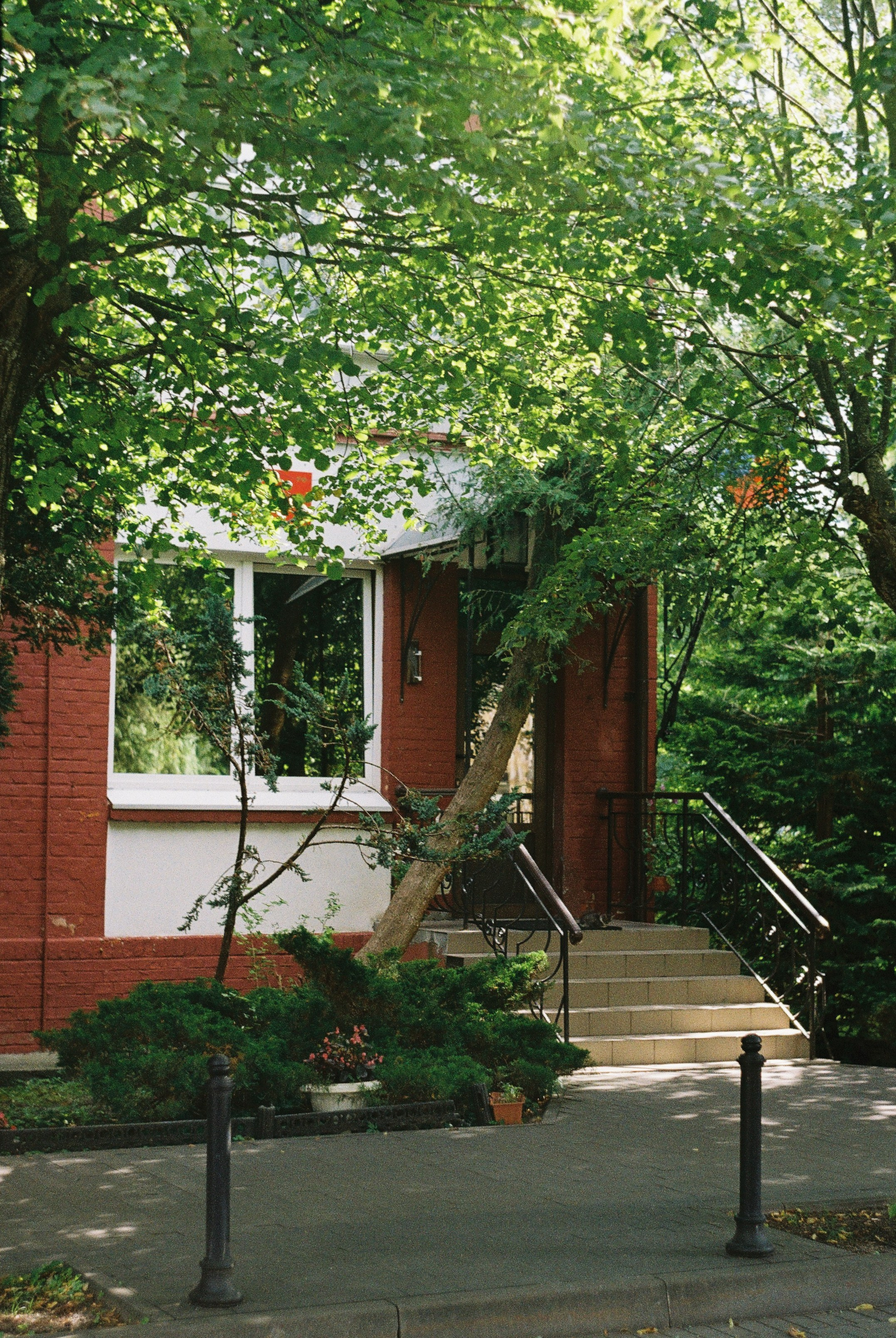 Калининградская область и Санкт-Петербруг | 2024. Портретный фотограф | Олеся Комарова | Екатеринбург