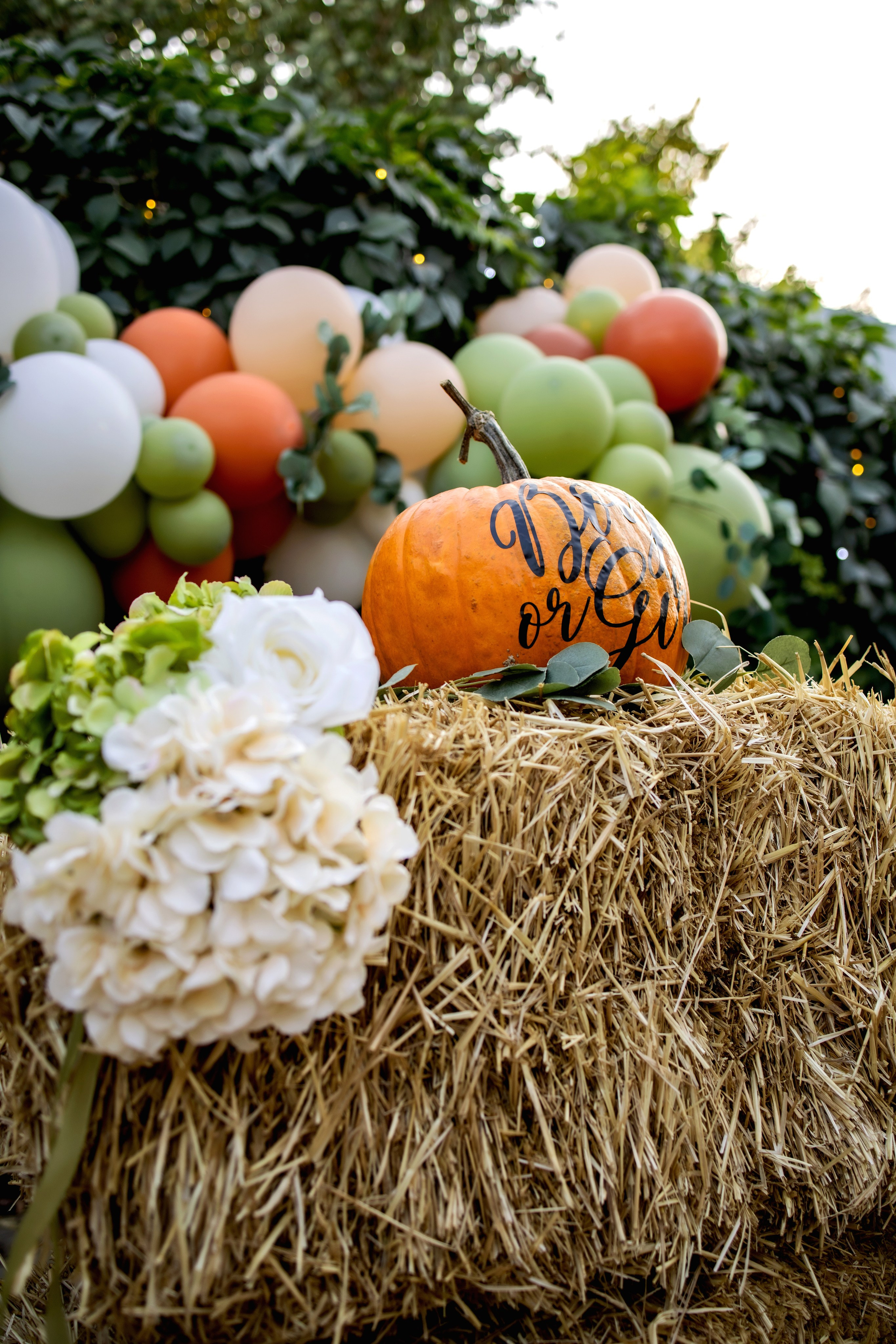 Гендер-Пати. Фотограф Надежда Лукьянова