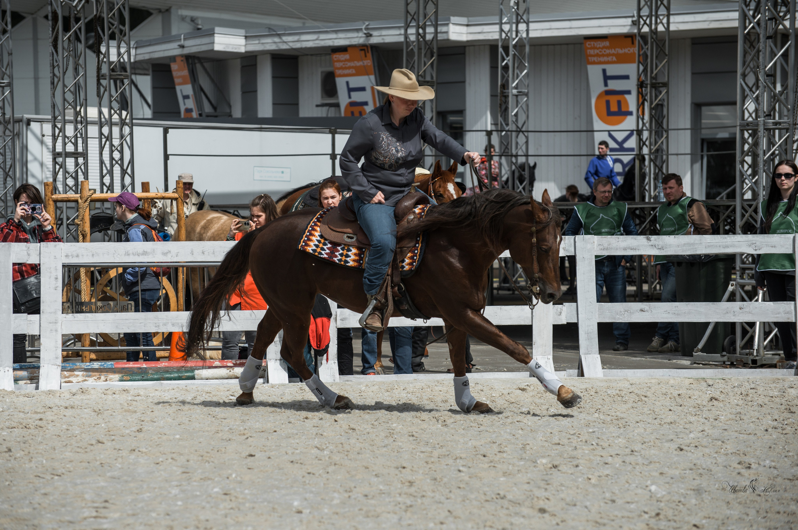 Эквирос, Москва. Конный фотограф в Саратове Юлия Иванова