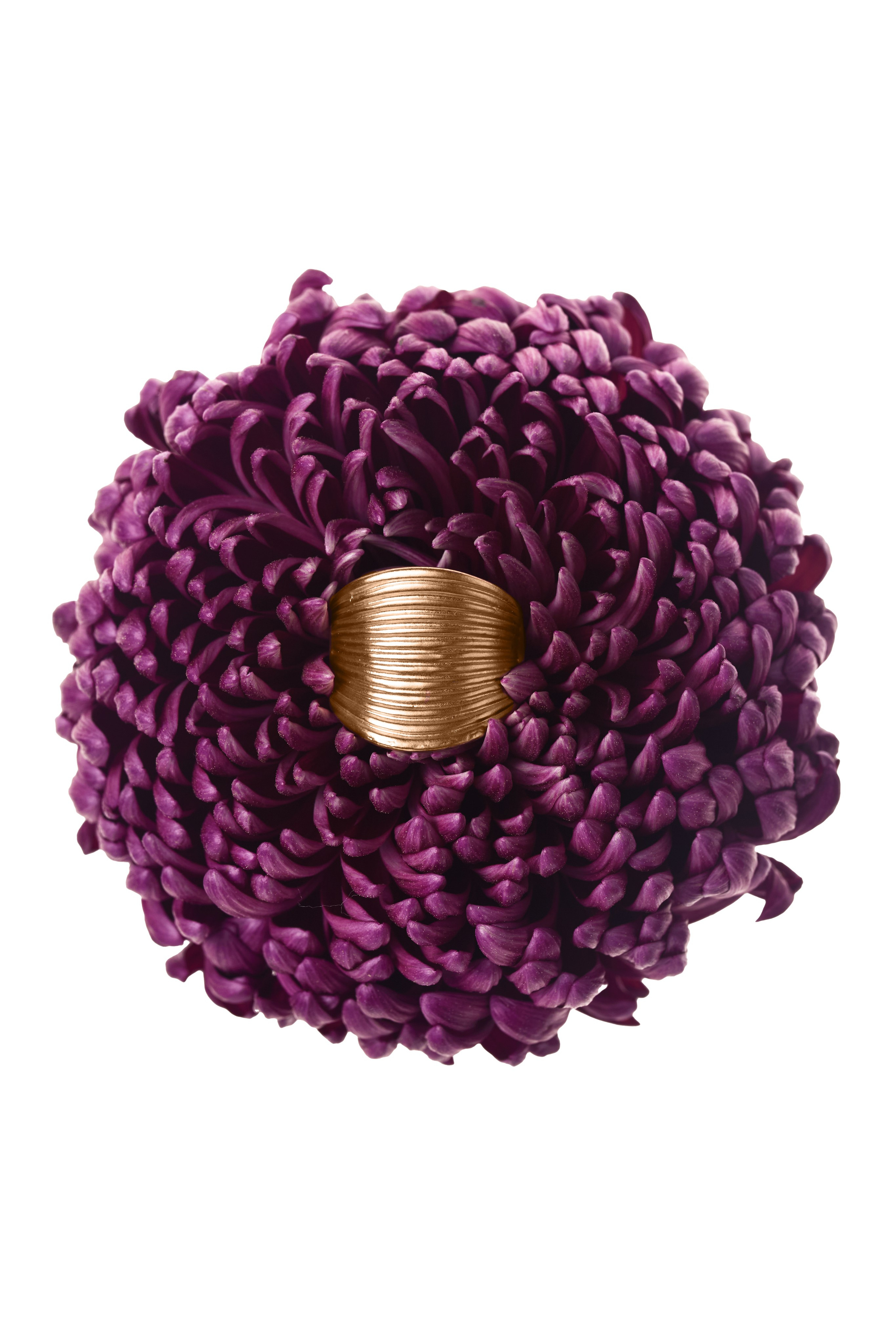 Предметная съемка still life кадров Ростов-на-Дону. Предметный и бизнес фотограф в Ростове-на-Дону Александра Степанова