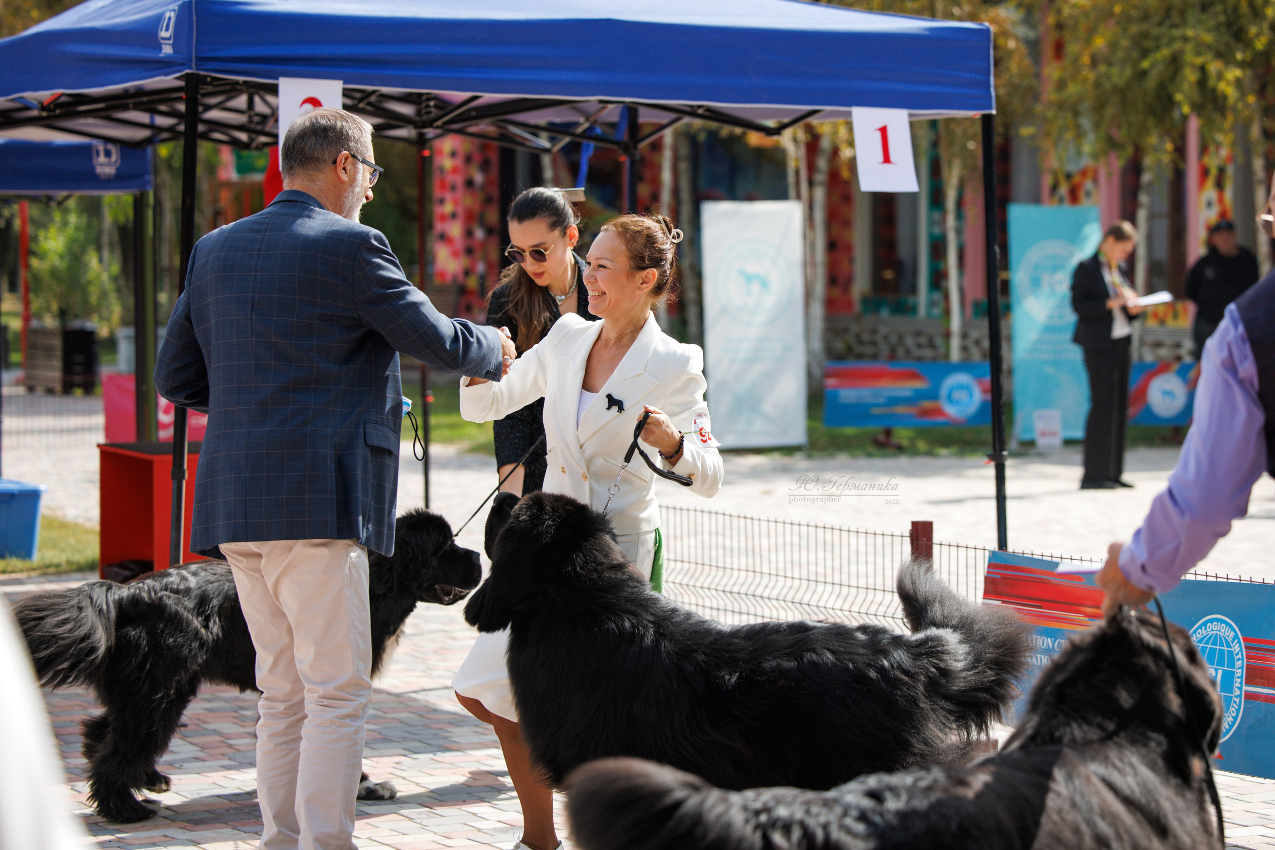 Ташкент 3хCACIB 3-5.10.2025. Фотограф-анималист Юлия Германика