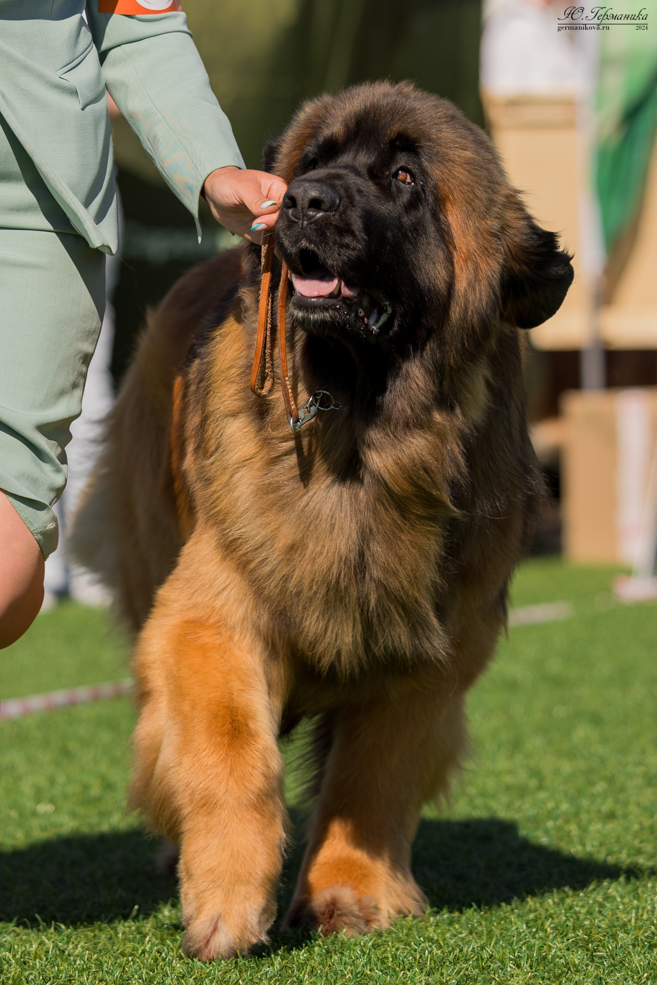 Суздаль 18-19.05.2024. Фотограф-анималист Юлия Германика