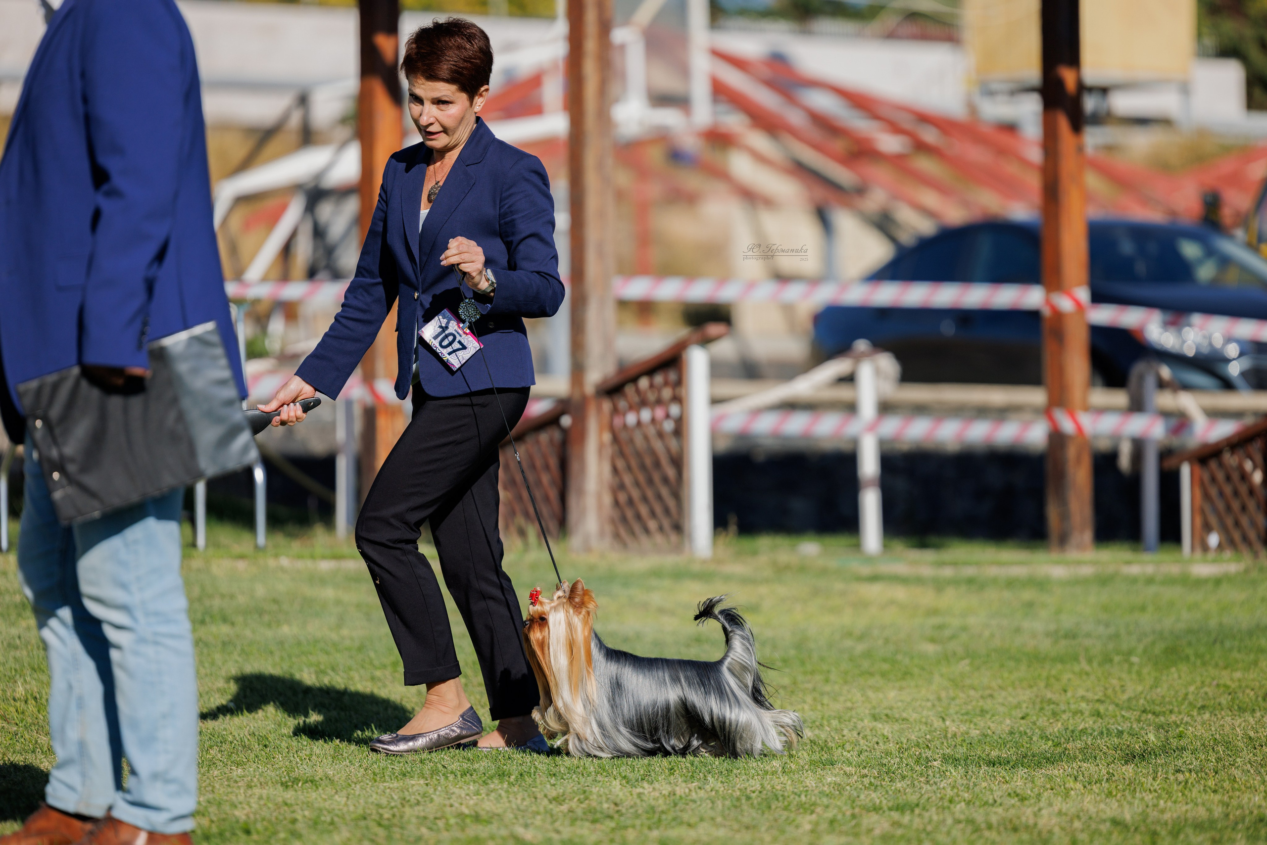 Ереван 14-16.10.2025. Фотограф-анималист Юлия Германика