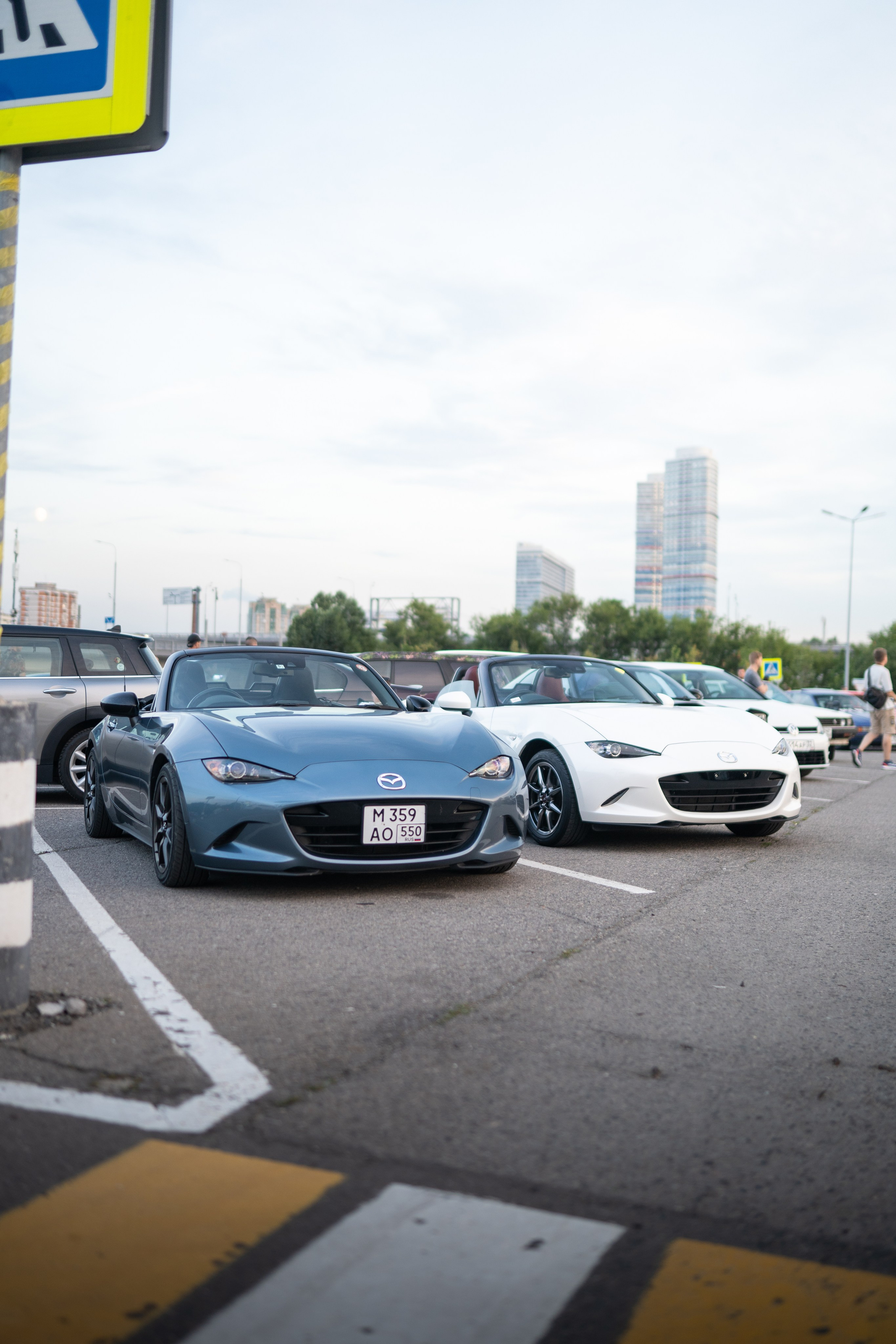 DOWNFLY | 13.07.2024. Mirllaev