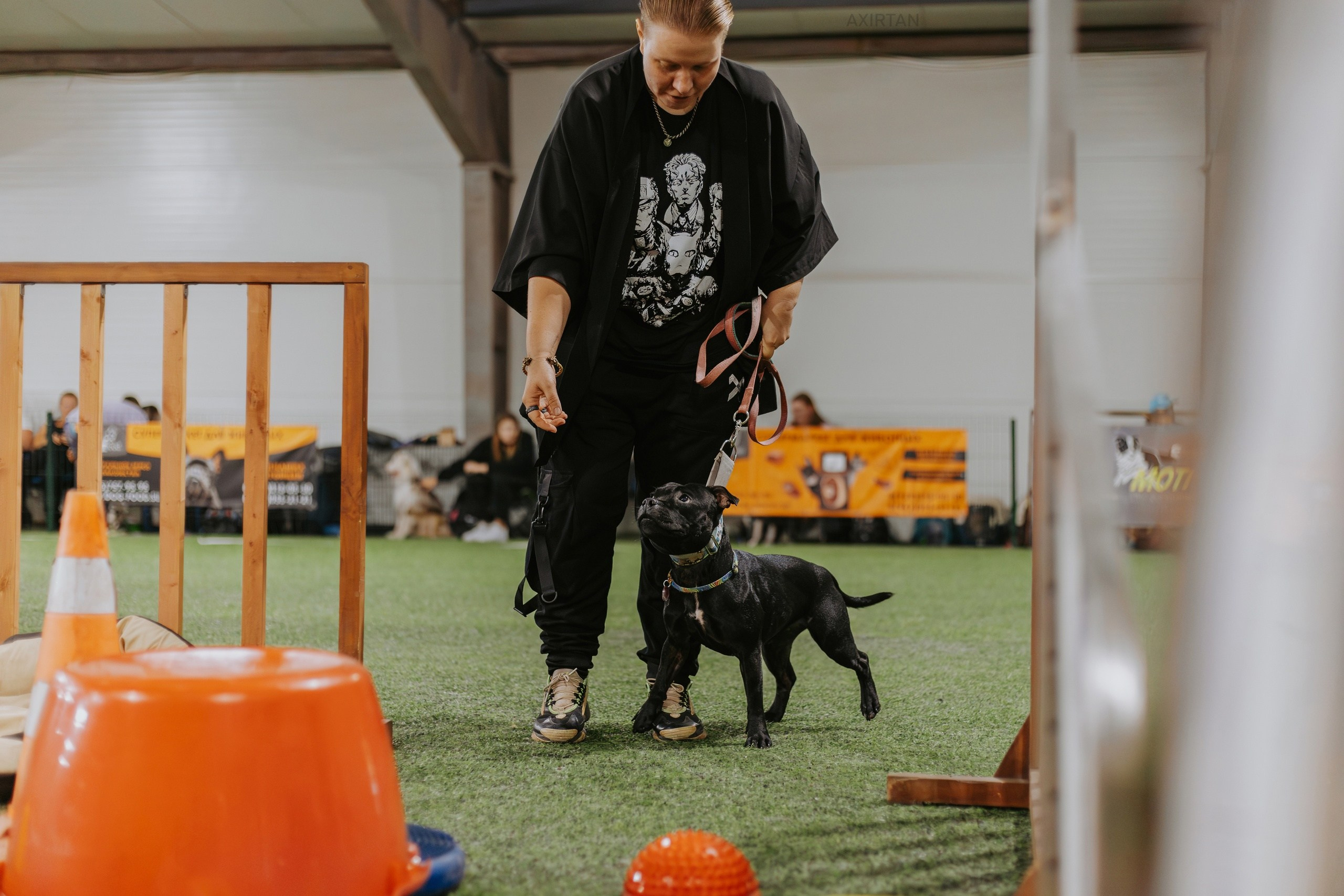 Тсахик. BLGKV питомник собак