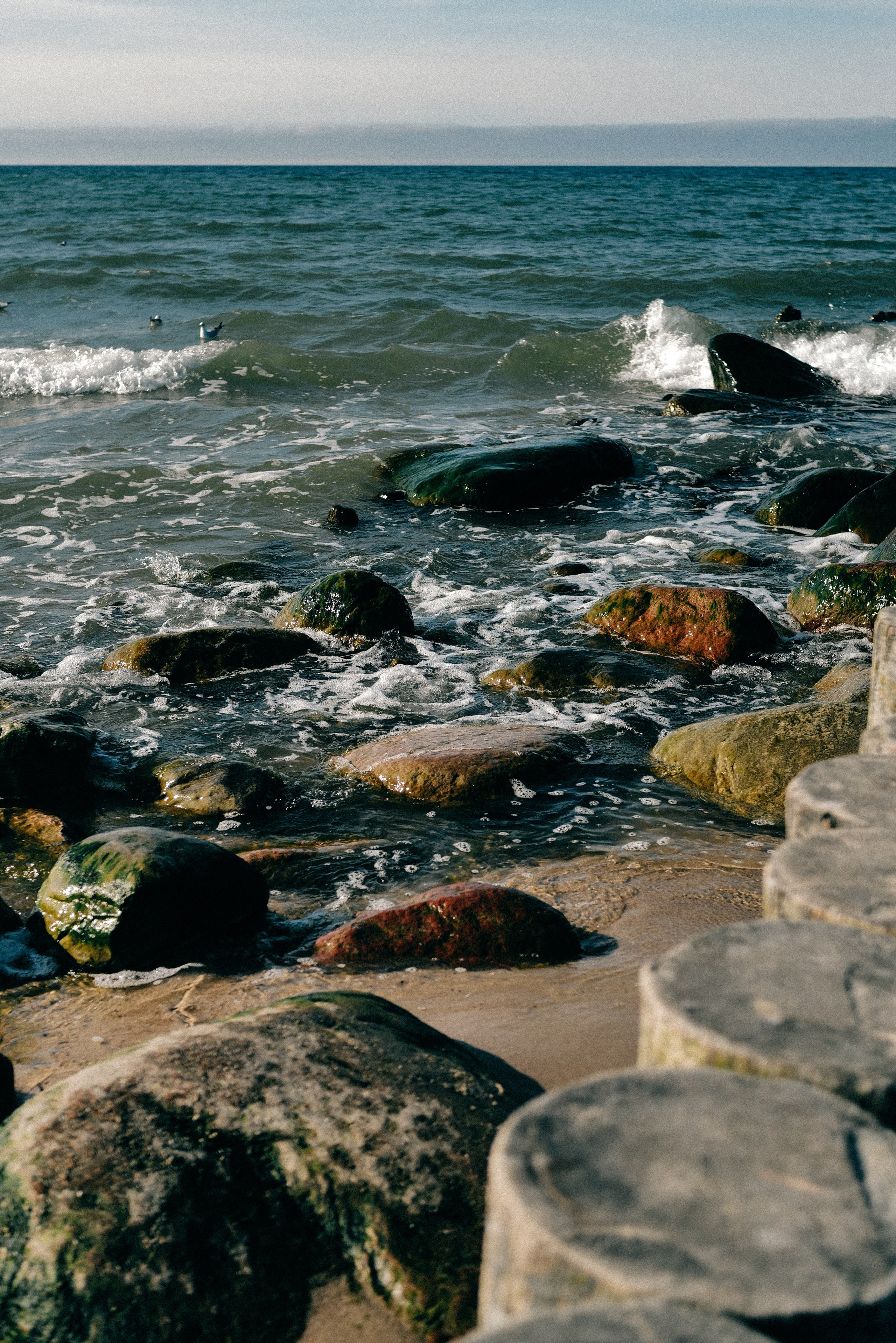 Zelenogradsk. Фотограф София Комкина