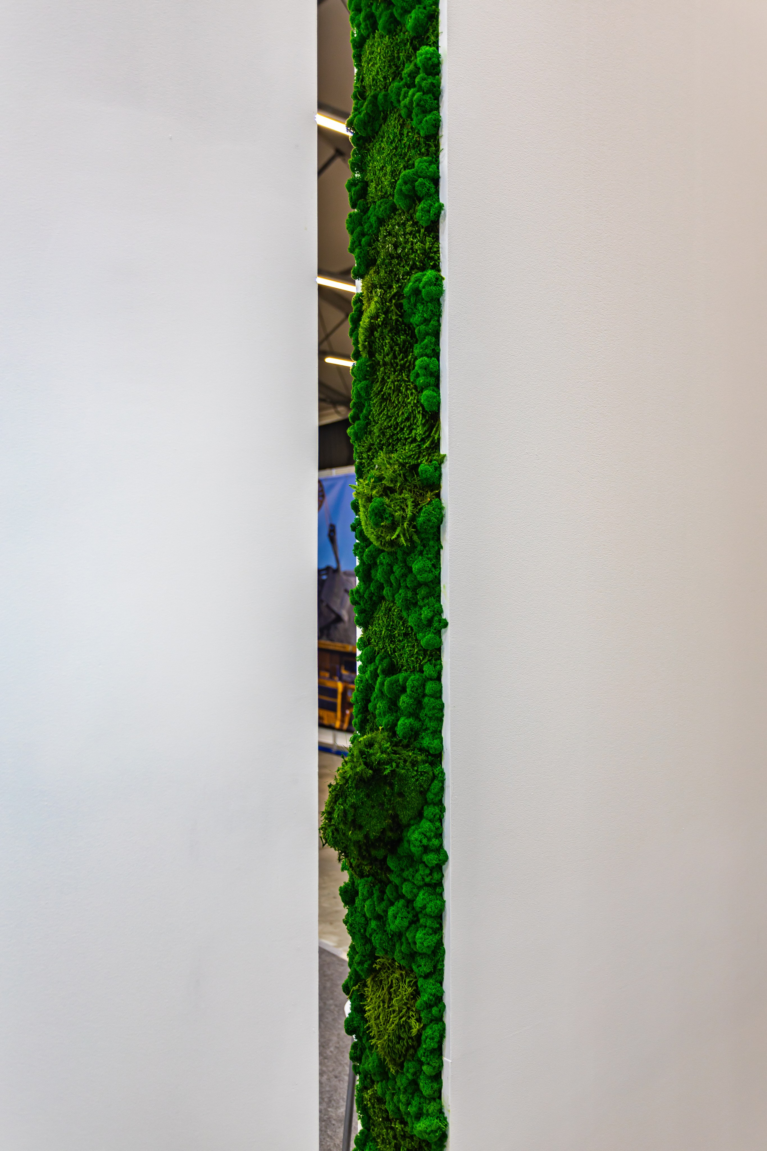 Контент для бизнеса. Видеограф PRO Новокузнецк