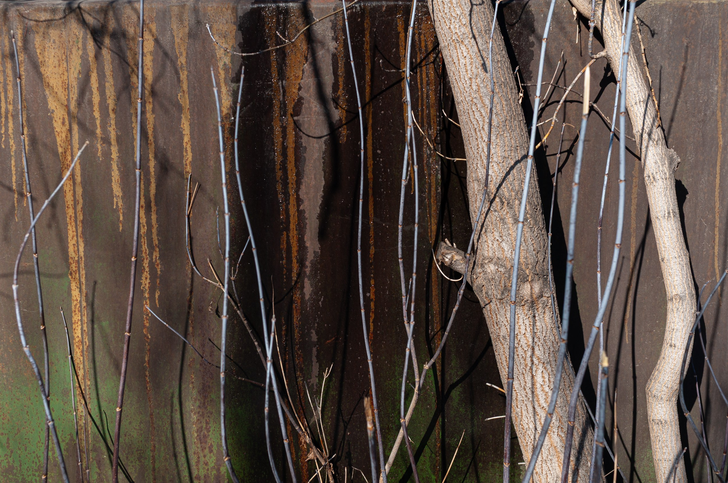 Autofigures. Nikoilay Pak