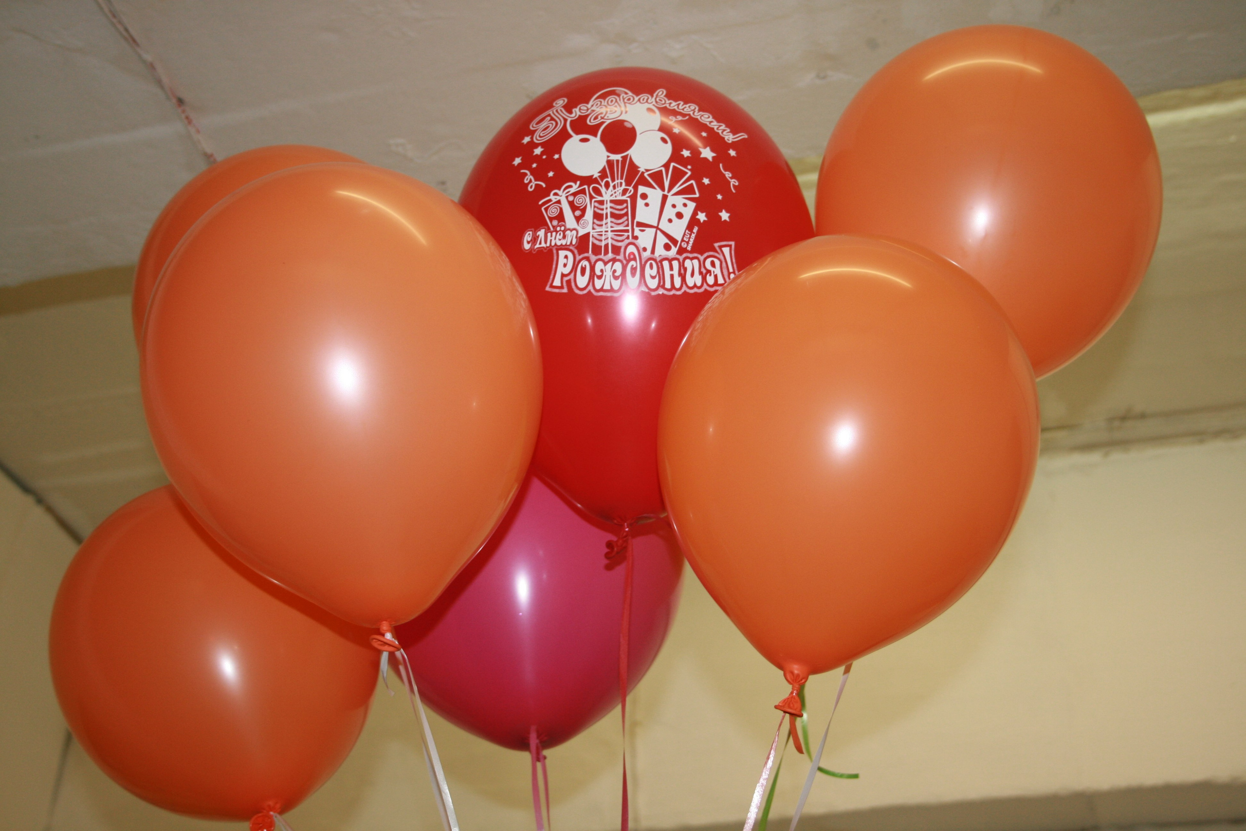 Соня ДР Стрелковый клуб 14 лет 15.03.2014. Семейный, Свадебный фотограф СПБ Питер— Романова Екатерина