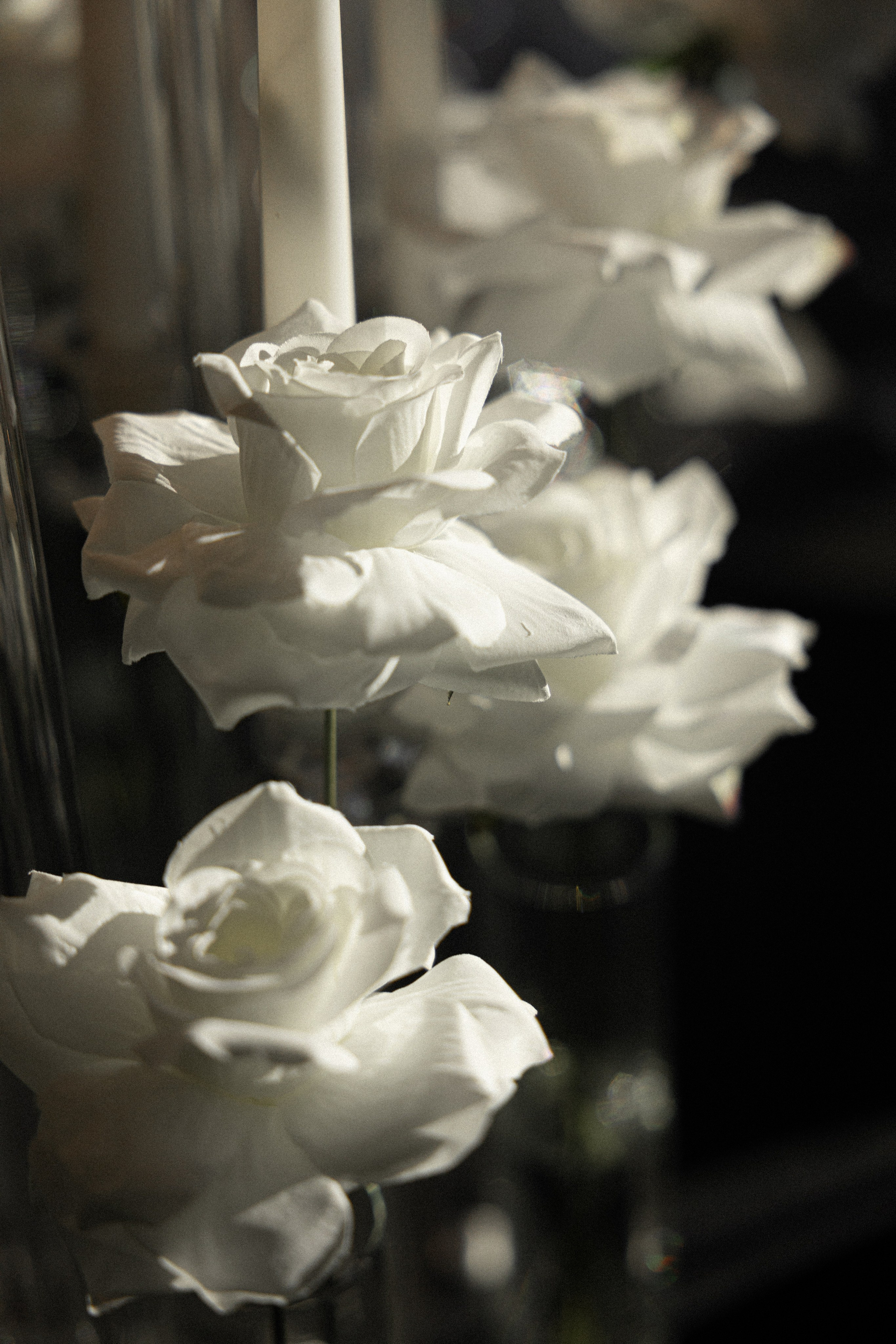 Sergey & Sabina. Вебер Юлия фотограф Ростов-на-Дону