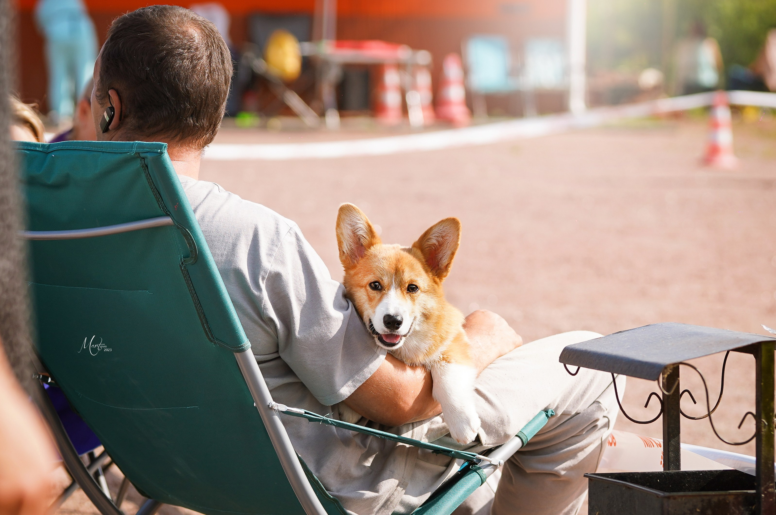 Выставки 2023. Фотограф-анималист в Санкт-Петербурге Яна Мартынова