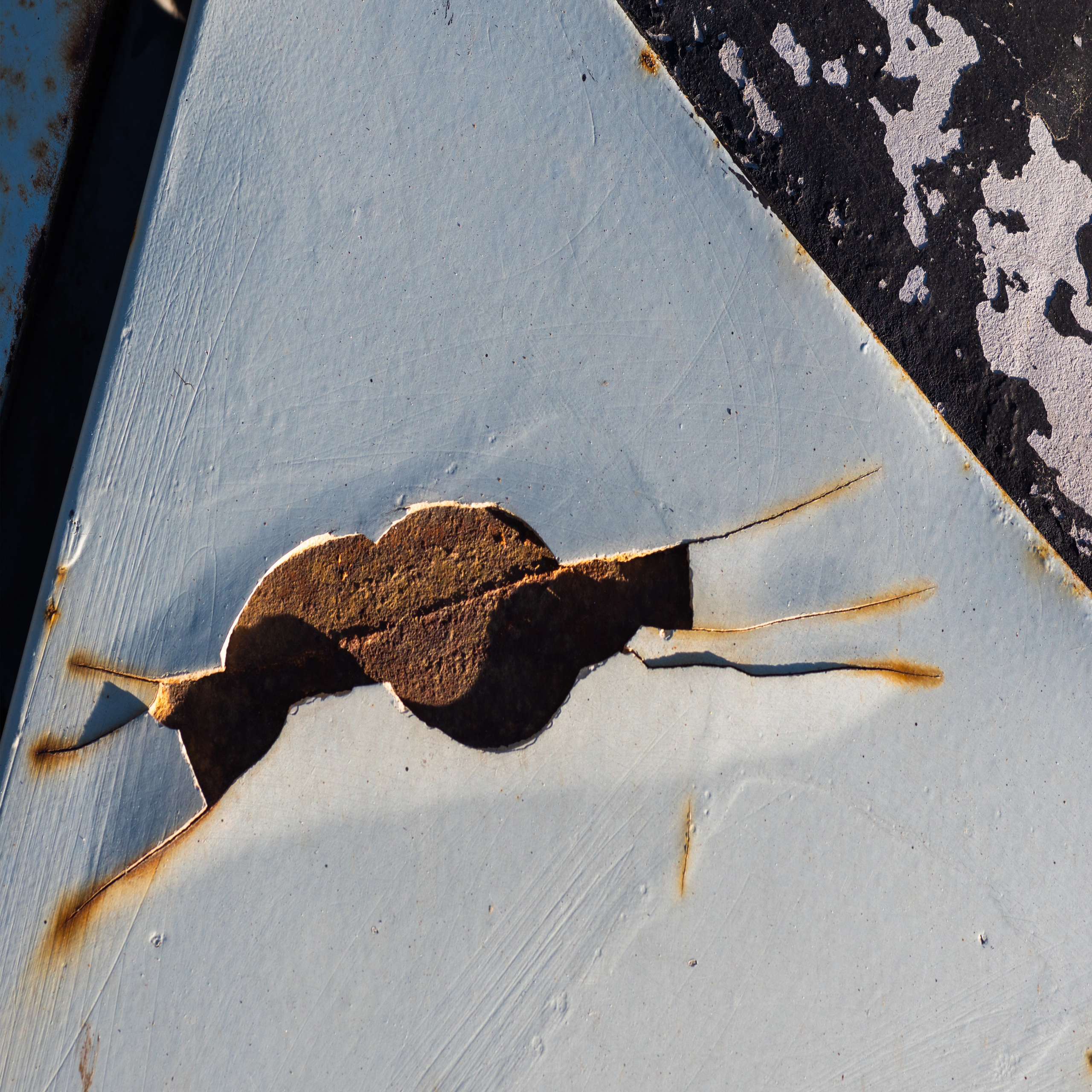 Genesis. Alena Ivochkina — conceptual photographer