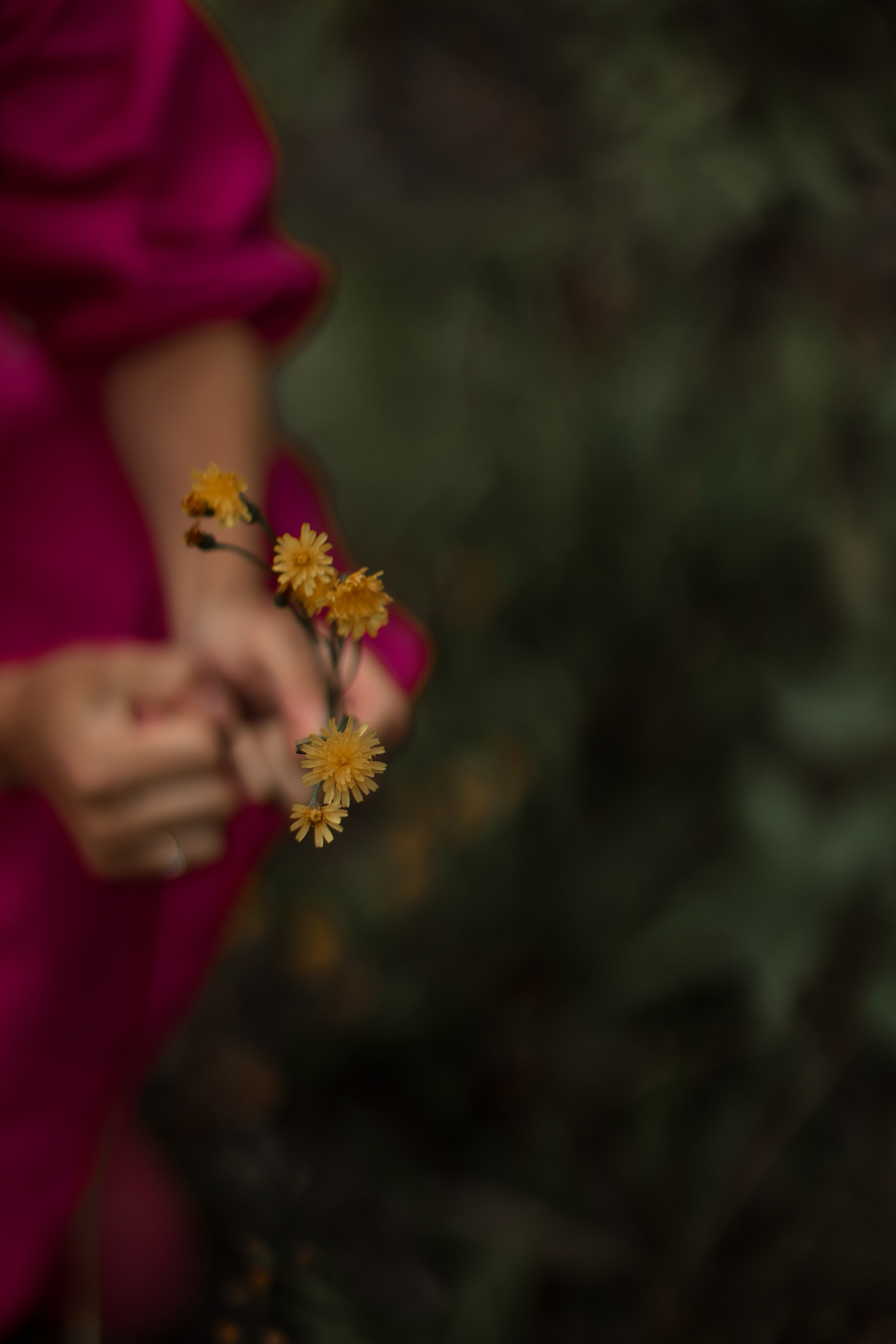 Anastasi. Kharchenkotatianaweddingphoto