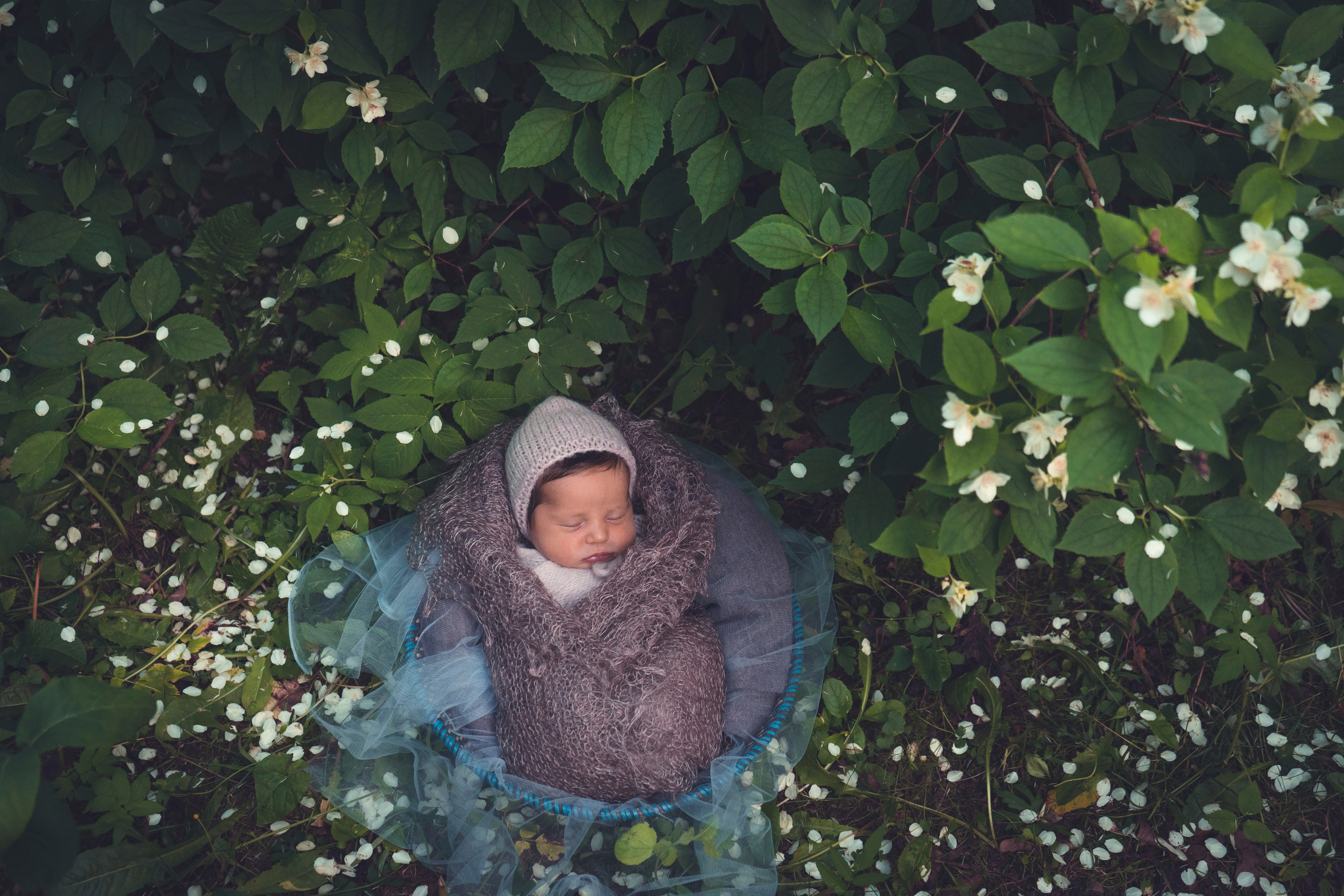 Стоимость услуг фотограф Москва. Фотограф на роды Москва. Фотограф новорожденных Москва